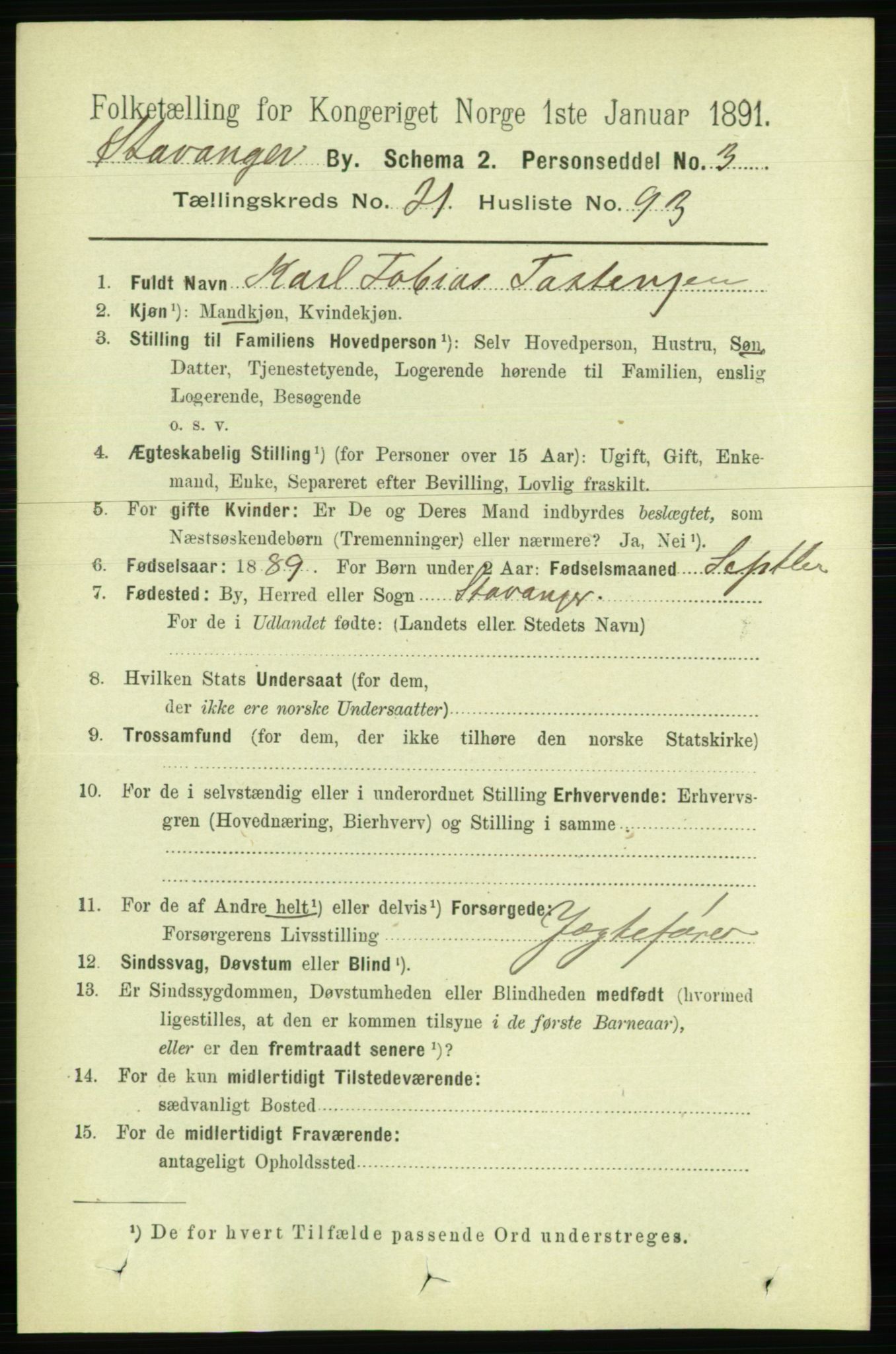 RA, 1891 census for 1103 Stavanger, 1891, p. 24106