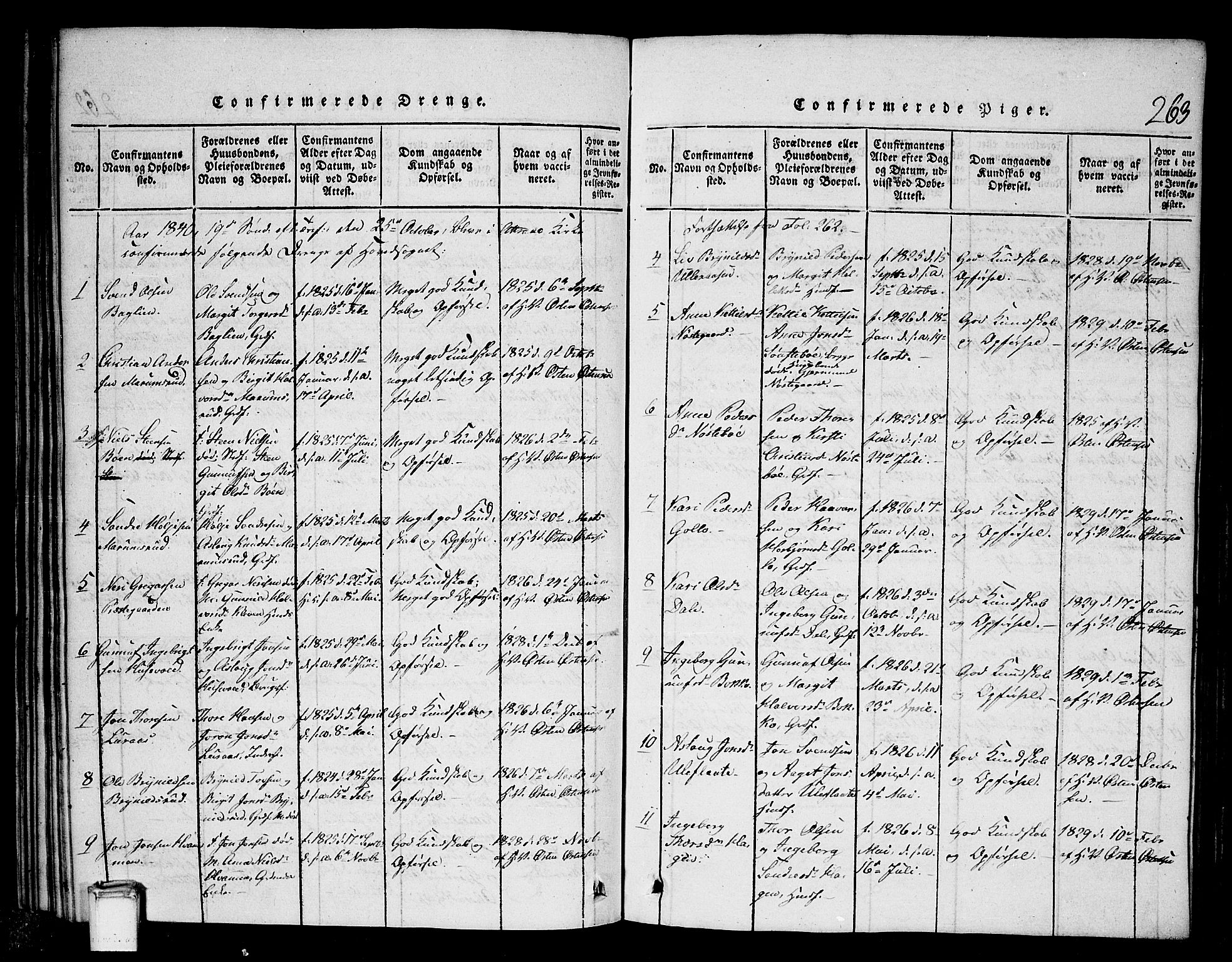 Tinn kirkebøker, AV/SAKO-A-308/G/Gb/L0001: Parish register (copy) no. II 1 /2, 1837-1850, p. 263