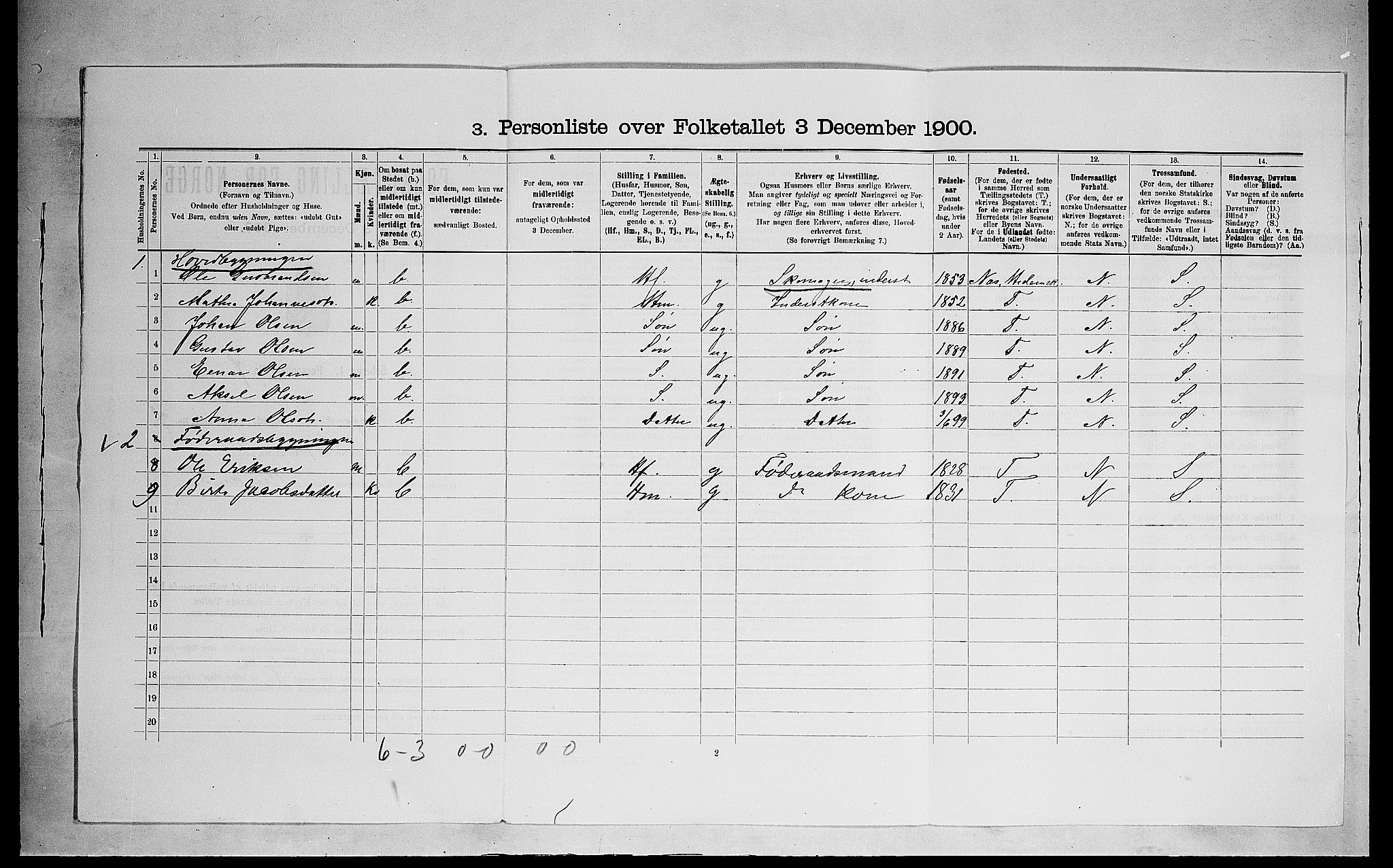 SAH, 1900 census for Ringsaker, 1900, p. 1407