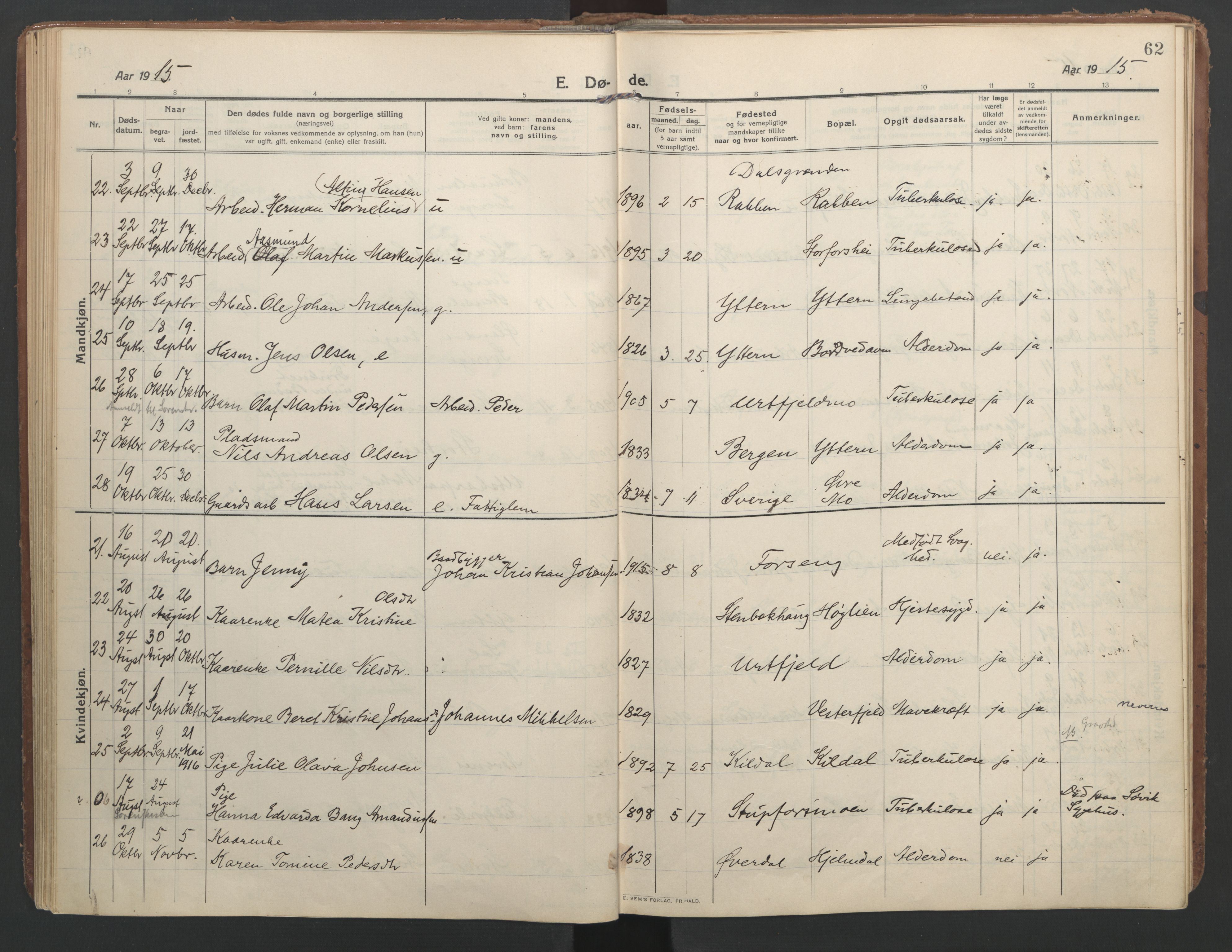 Ministerialprotokoller, klokkerbøker og fødselsregistre - Nordland, AV/SAT-A-1459/827/L0405: Parish register (official) no. 827A17, 1912-1925, p. 62