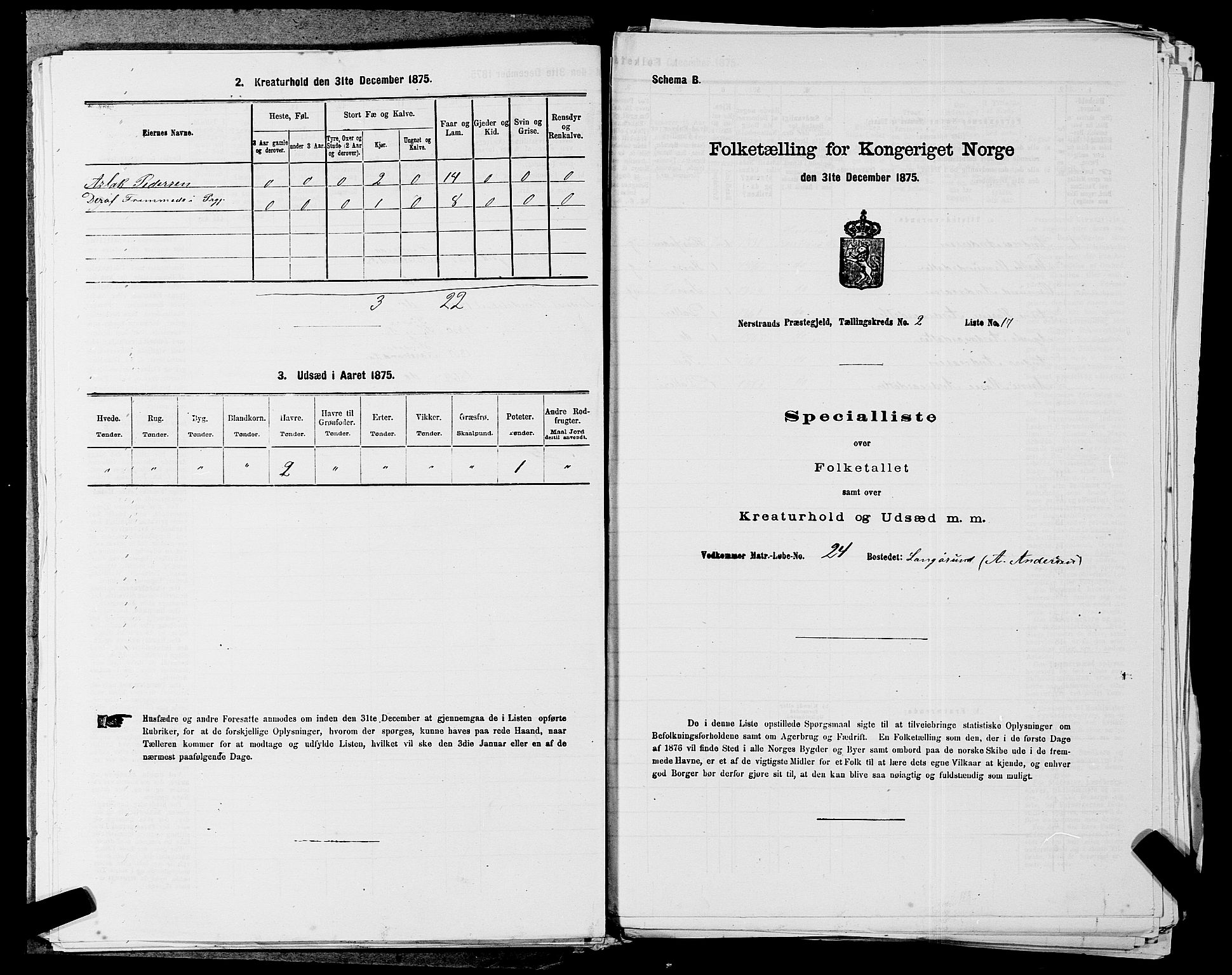 SAST, 1875 census for 1139P Nedstrand, 1875, p. 581