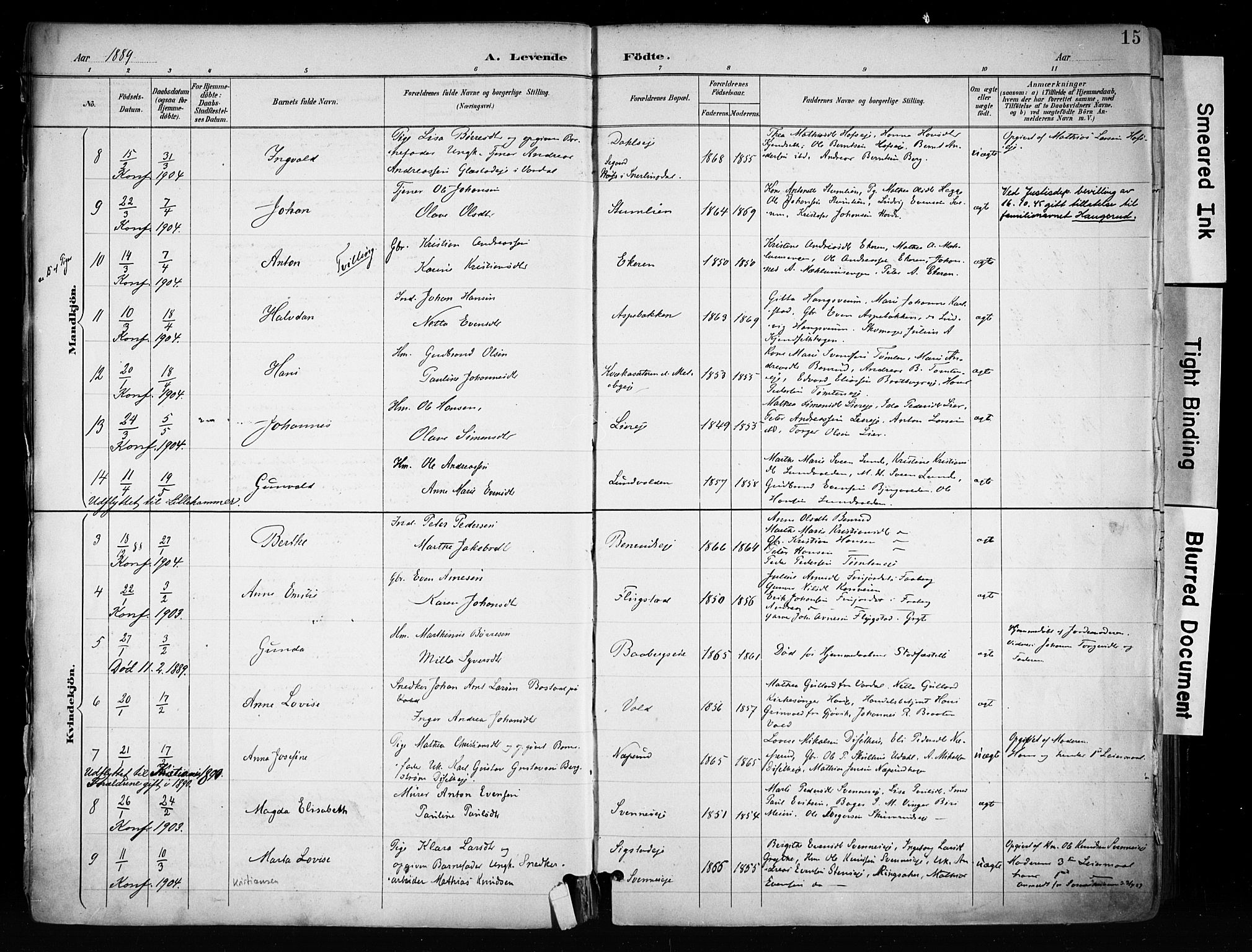 Biri prestekontor, SAH/PREST-096/H/Ha/Haa/L0009: Parish register (official) no. 9, 1887-1900, p. 15
