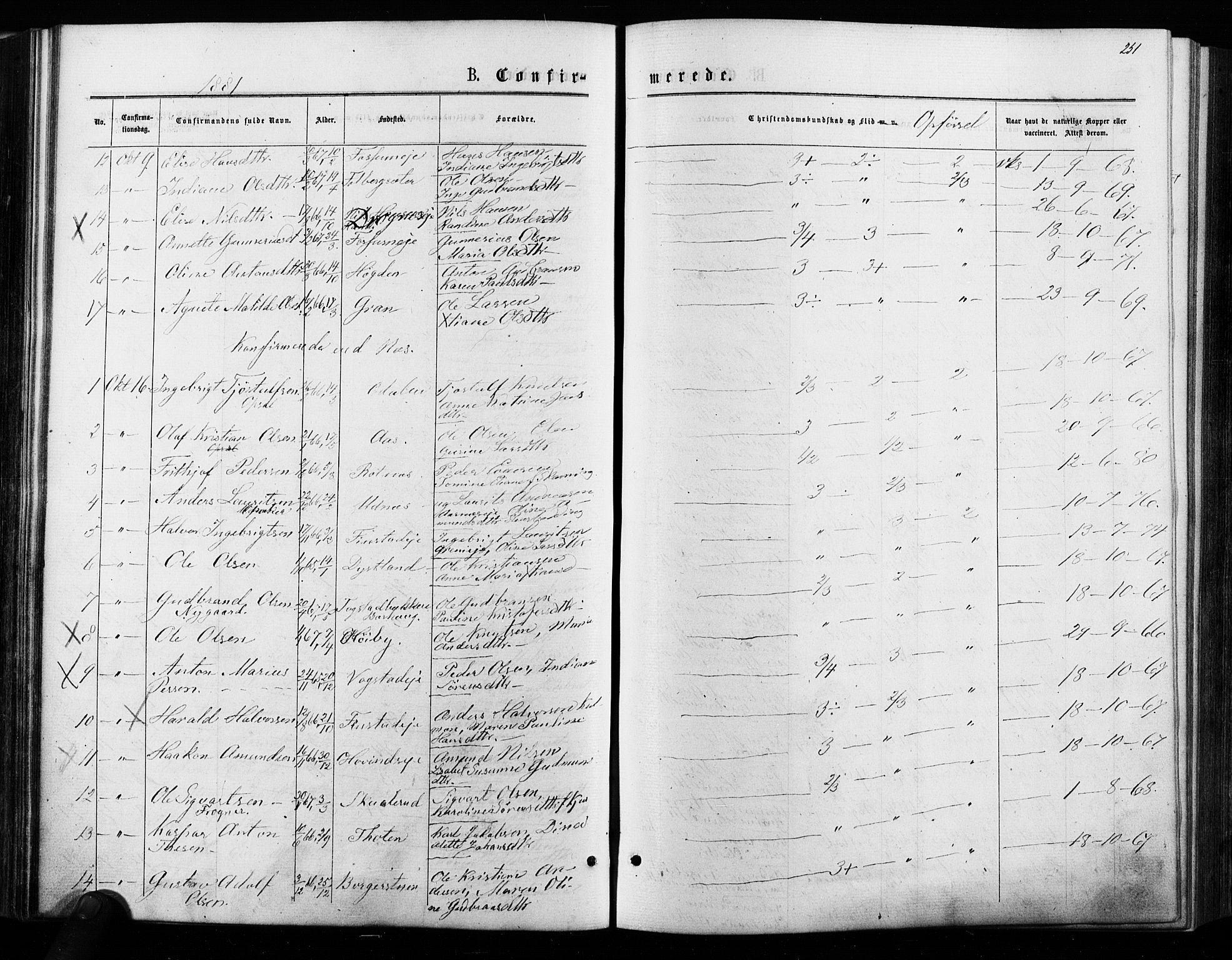 Nes prestekontor Kirkebøker, AV/SAO-A-10410/F/Fa/L0009: Parish register (official) no. I 9, 1875-1882, p. 251