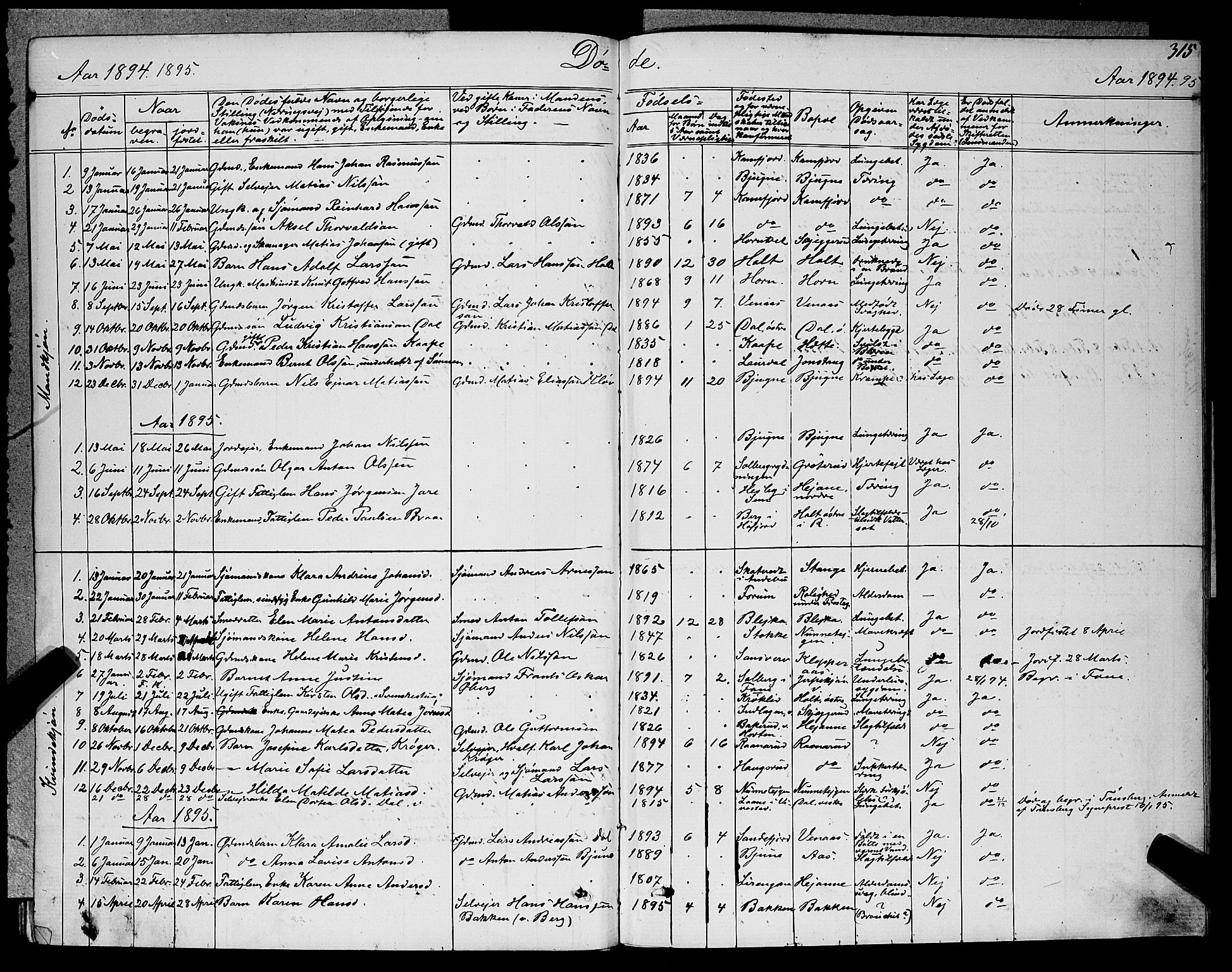 Ramnes kirkebøker, SAKO/A-314/G/Ga/L0003: Parish register (copy) no. I 3, 1870-1896, p. 315