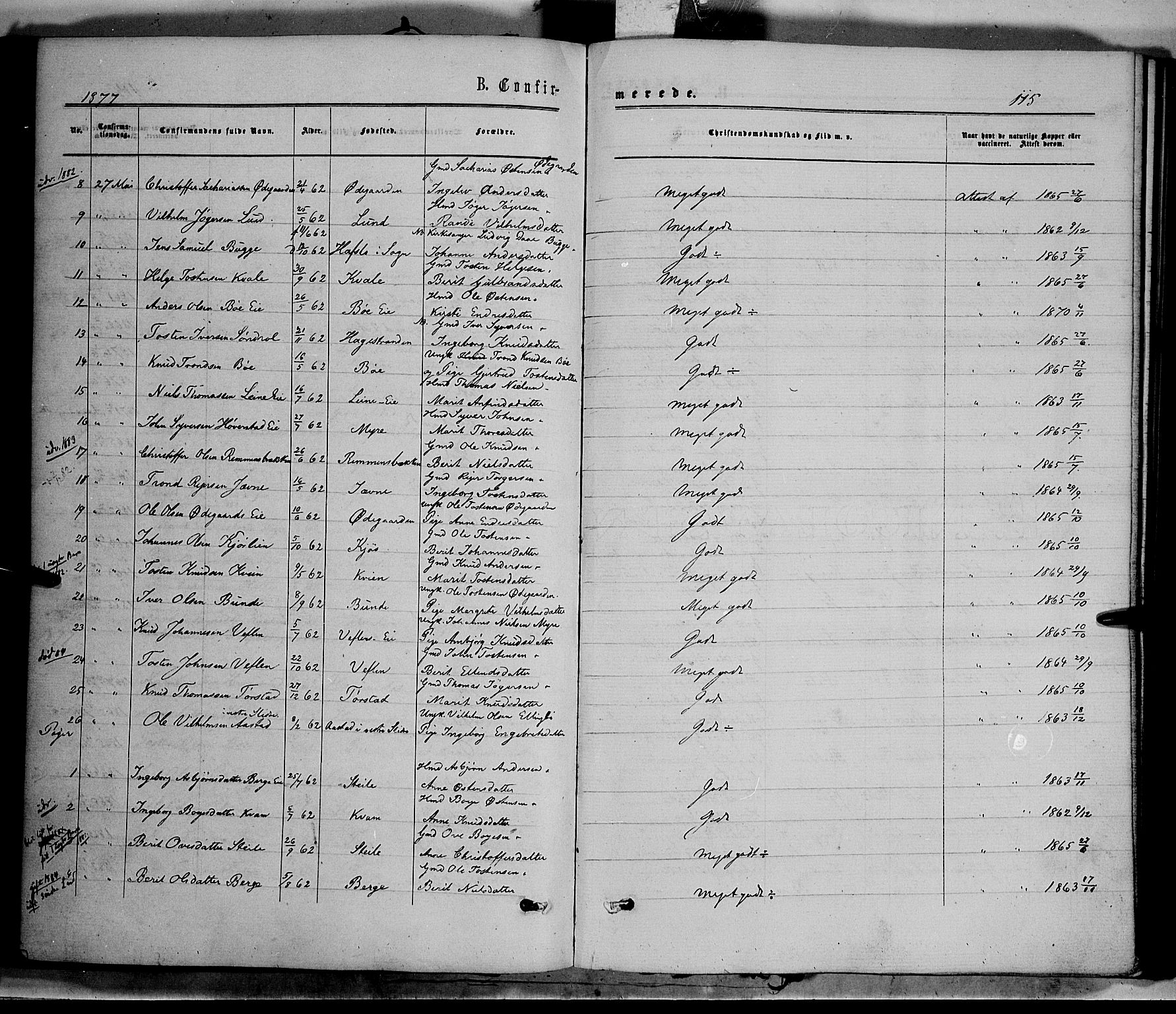 Vang prestekontor, Valdres, SAH/PREST-140/H/Ha/L0007: Parish register (official) no. 7, 1865-1881, p. 115