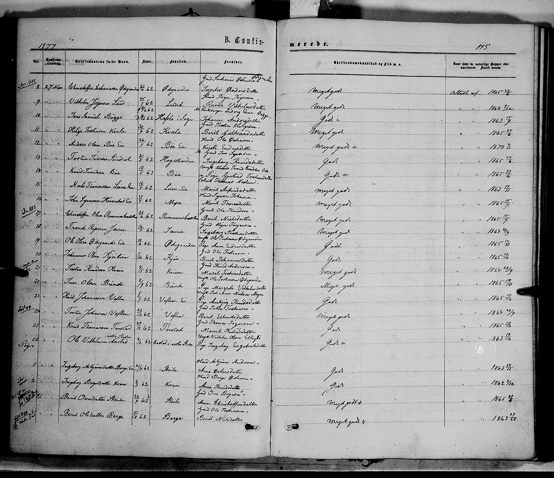 Vang prestekontor, Valdres, AV/SAH-PREST-140/H/Ha/L0007: Parish register (official) no. 7, 1865-1881, p. 115