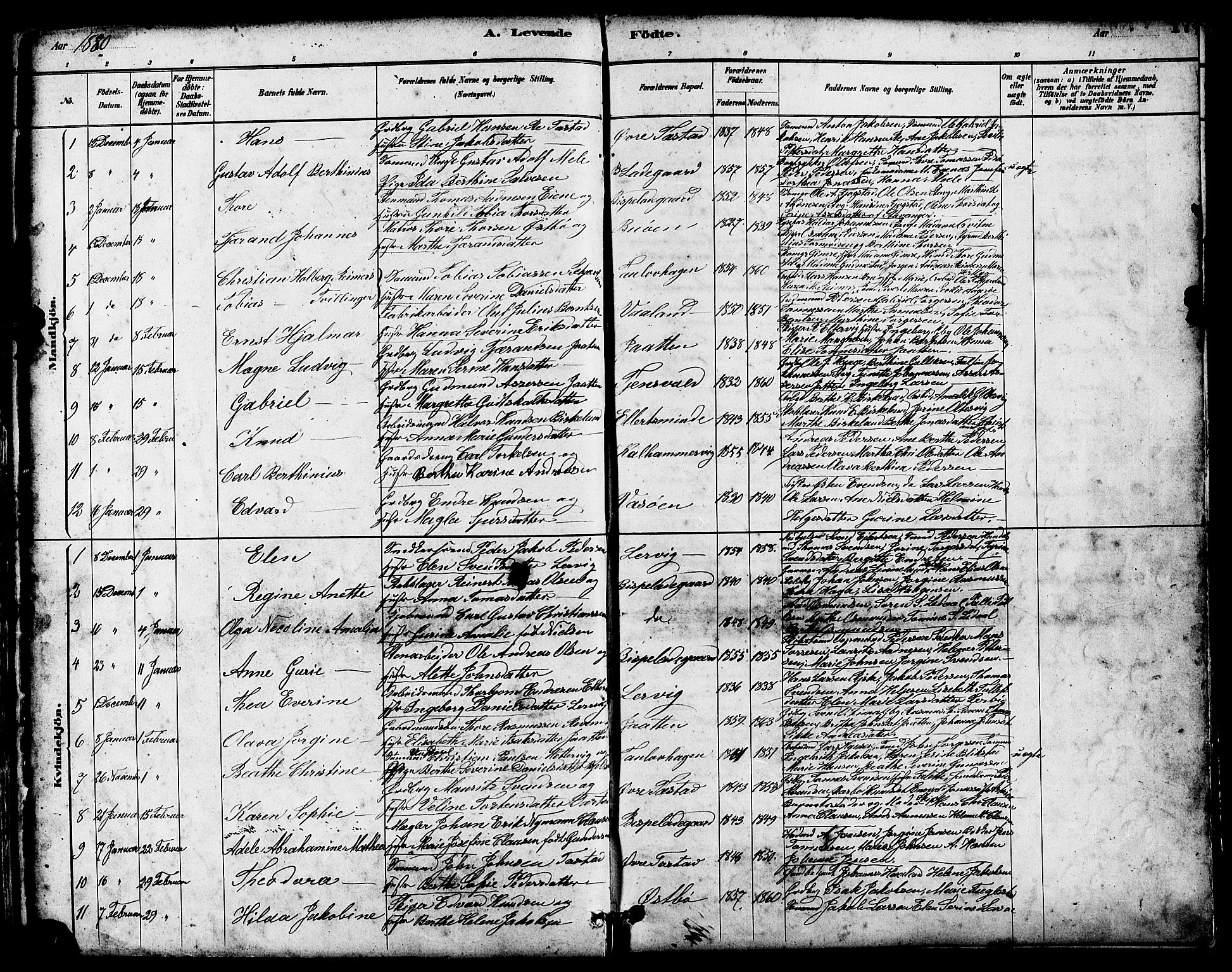 Hetland sokneprestkontor, SAST/A-101826/30/30BB/L0005: Parish register (copy) no. B 5, 1878-1910, p. 17