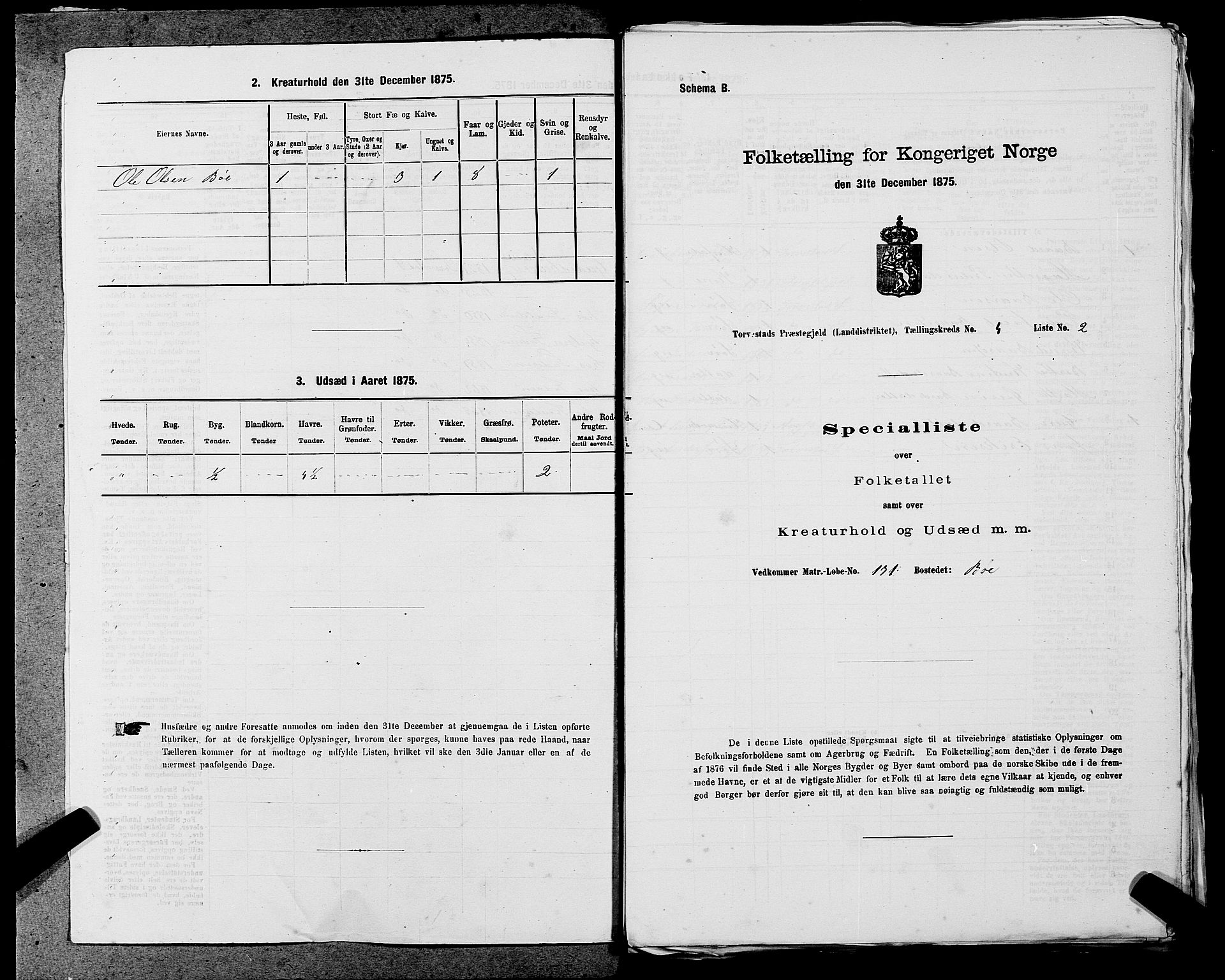 SAST, 1875 census for 1152L Torvastad/Torvastad, Skåre og Utsira, 1875, p. 537