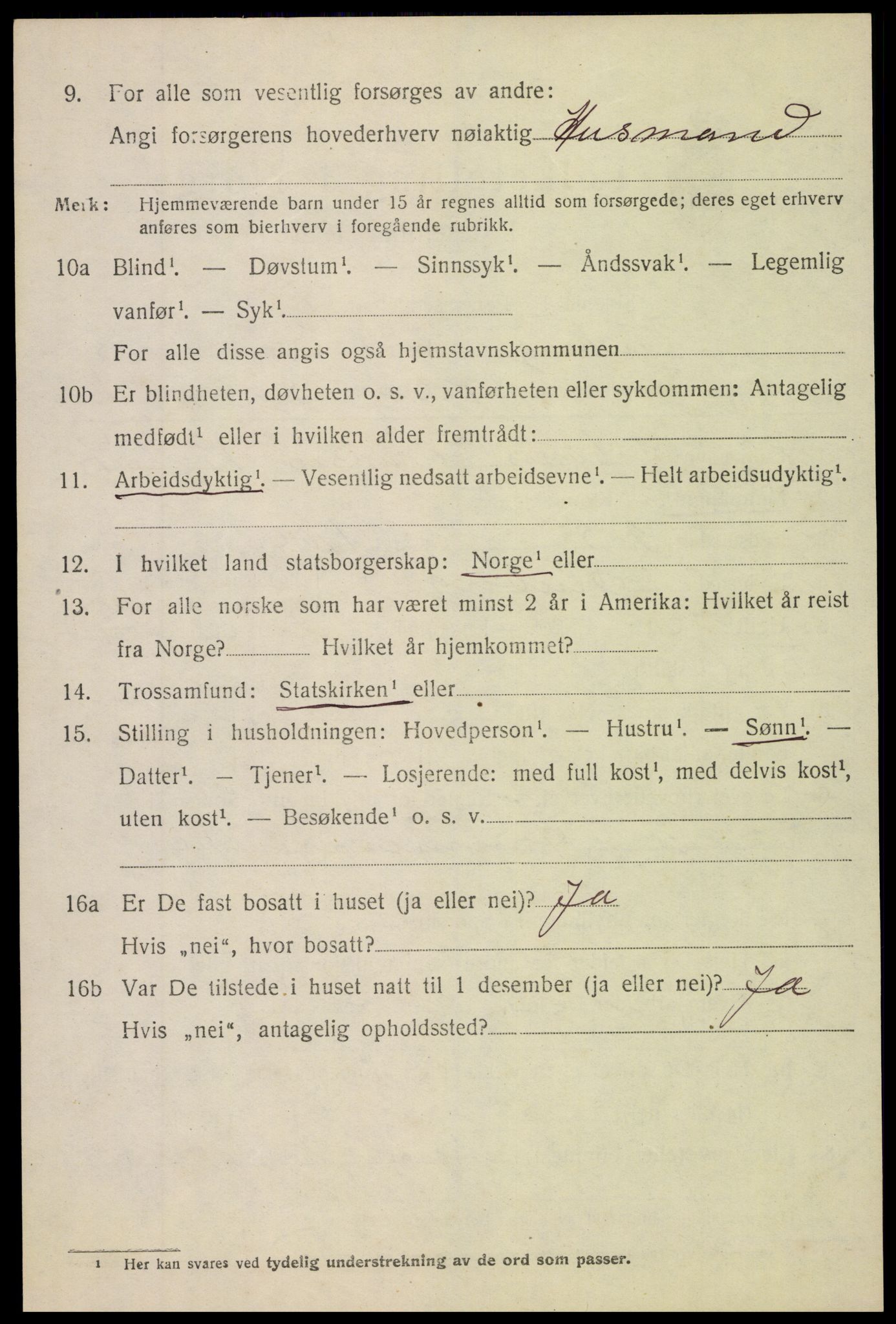 SAH, 1920 census for Fluberg, 1920, p. 4337