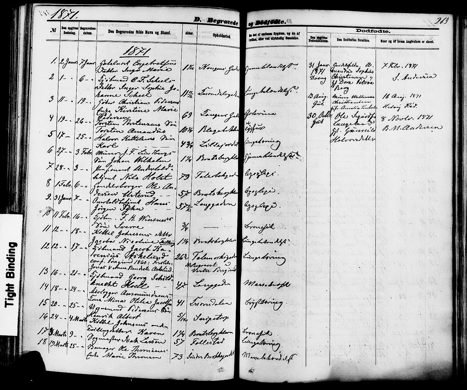 Skien kirkebøker, SAKO/A-302/F/Fa/L0008: Parish register (official) no. 8, 1866-1877, p. 263
