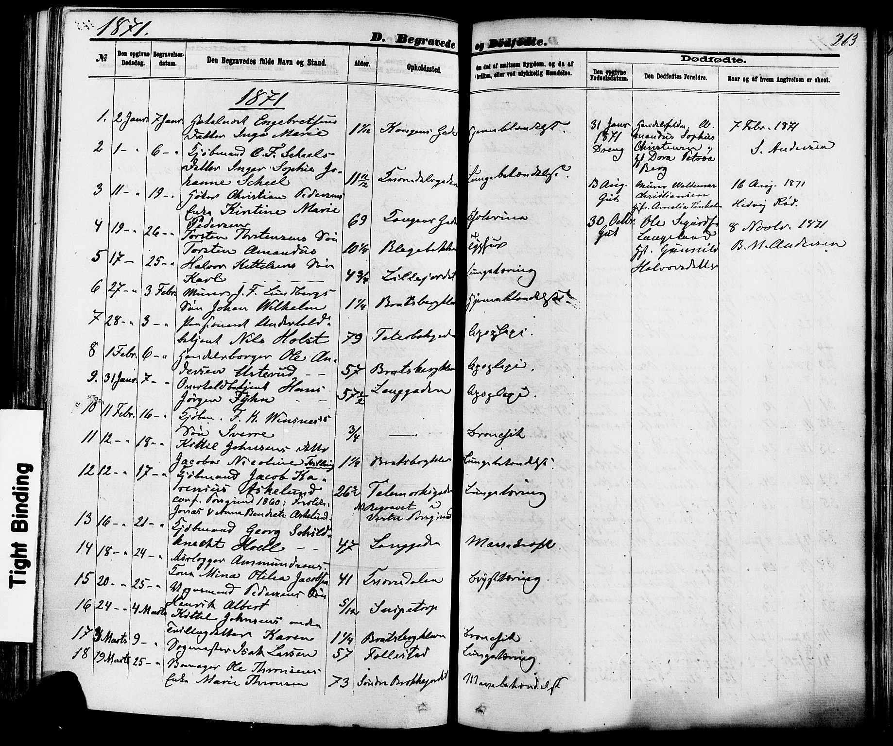 Skien kirkebøker, AV/SAKO-A-302/F/Fa/L0008: Parish register (official) no. 8, 1866-1877, p. 263