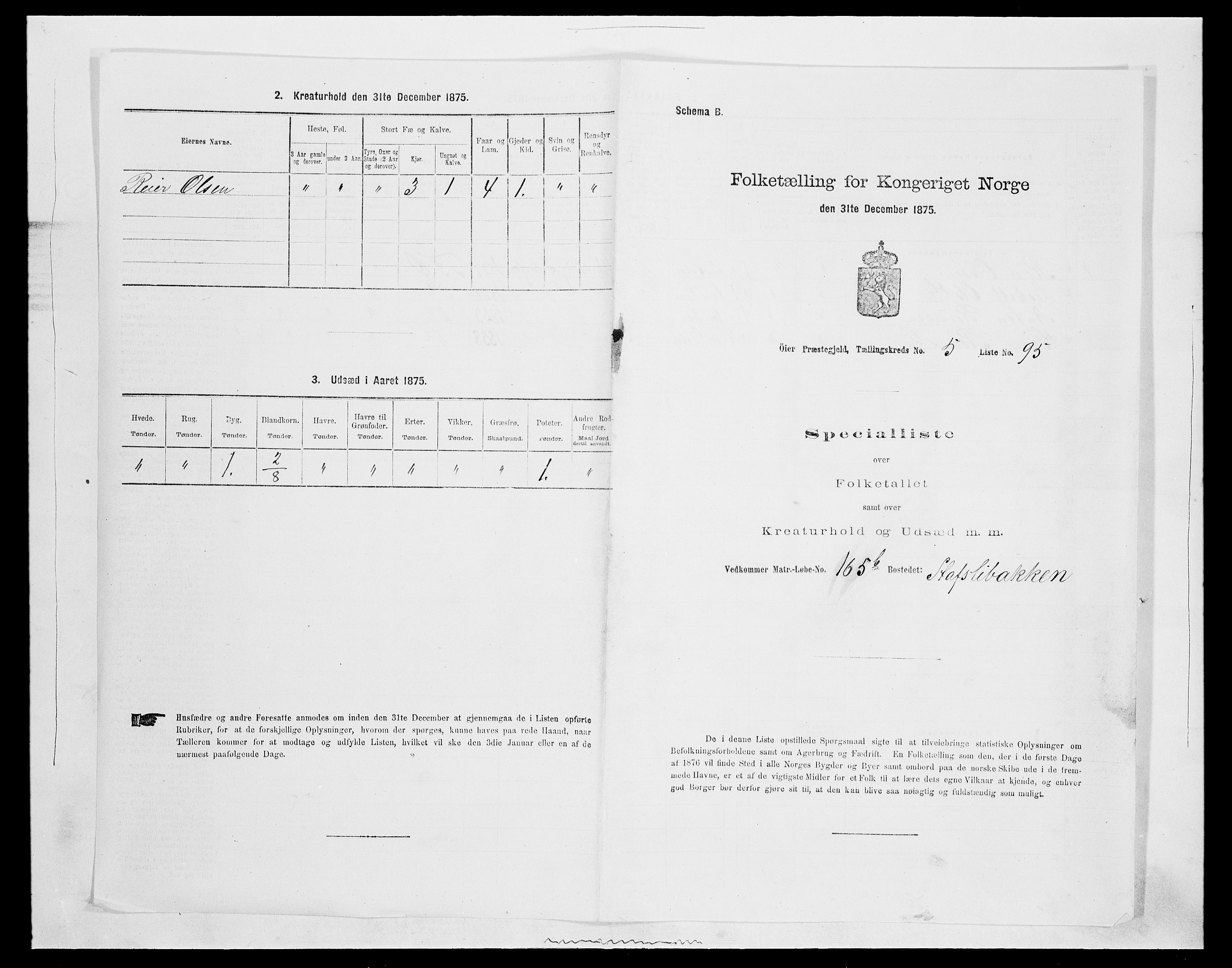 SAH, 1875 census for 0521P Øyer, 1875, p. 1144