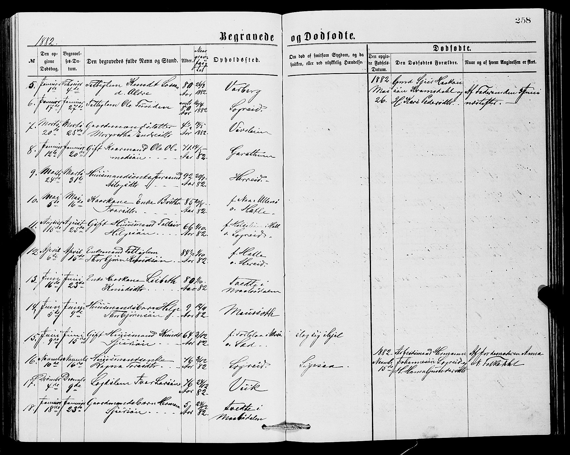 Ullensvang sokneprestembete, SAB/A-78701/H/Hab: Parish register (copy) no. C 2, 1871-1899, p. 258