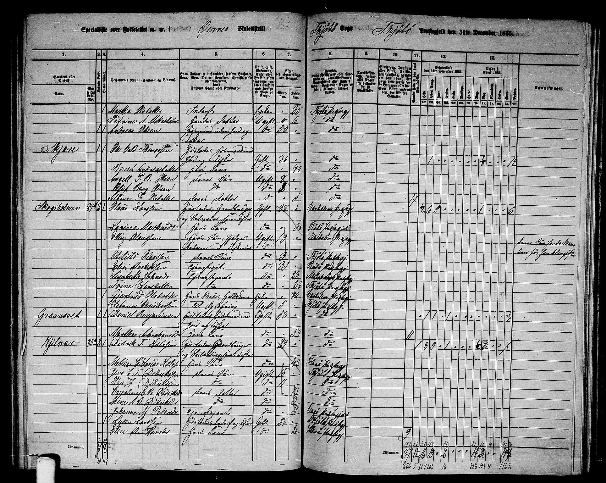 RA, 1865 census for Tjøtta, 1865, p. 80