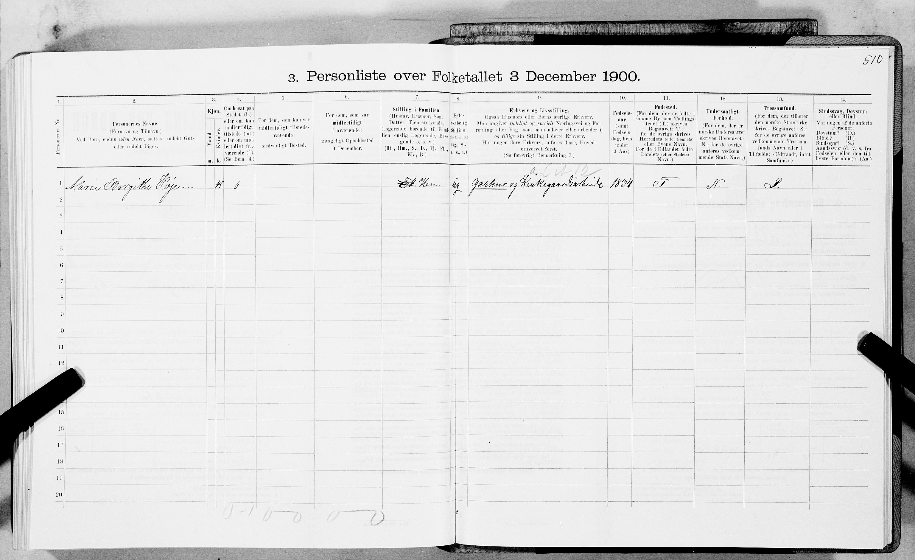 SAT, 1900 census for Trondheim, 1900, p. 1994