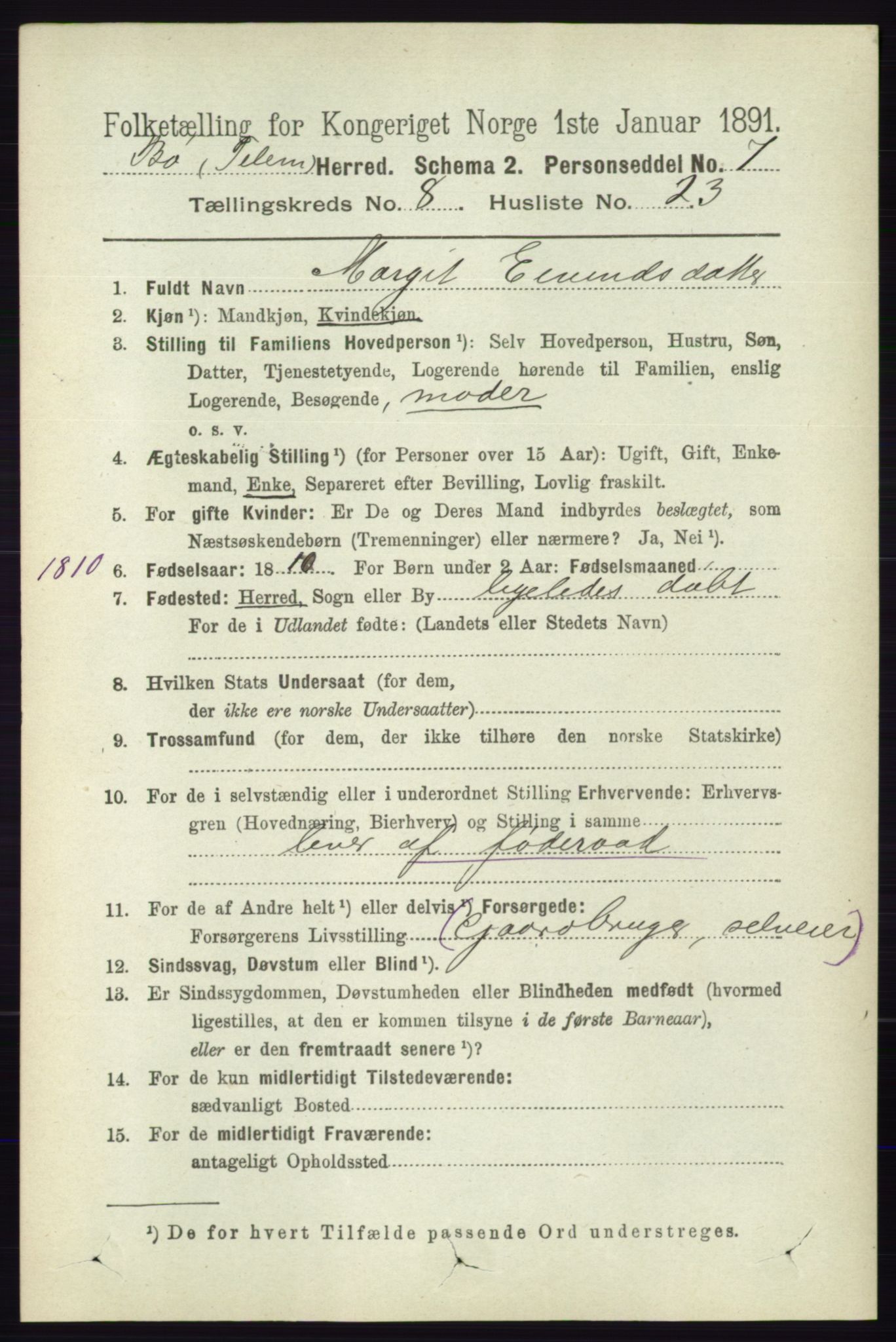 RA, 1891 census for 0821 Bø, 1891, p. 2681