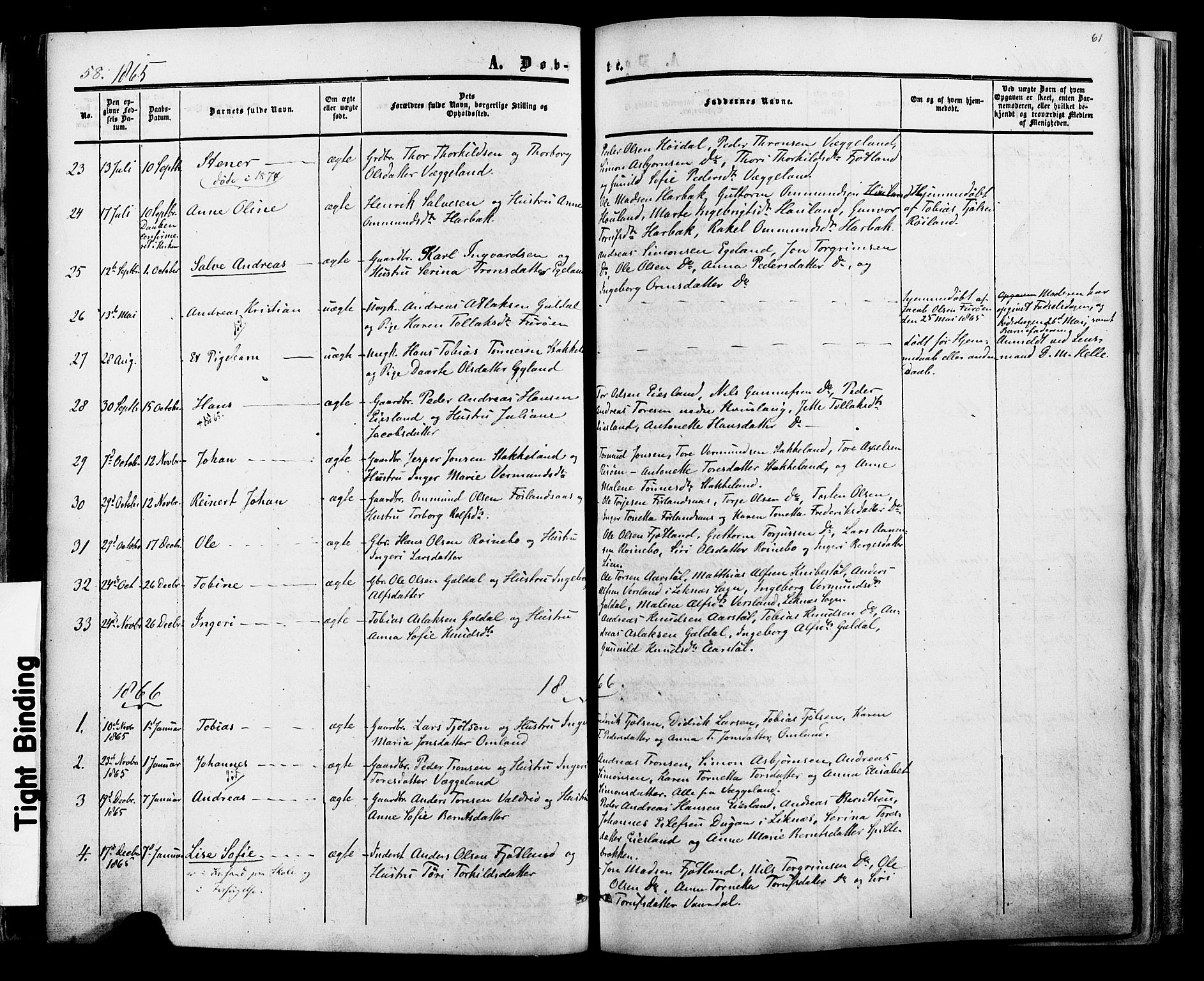 Fjotland sokneprestkontor, AV/SAK-1111-0010/F/Fa/L0001: Parish register (official) no. A 1, 1850-1879, p. 61