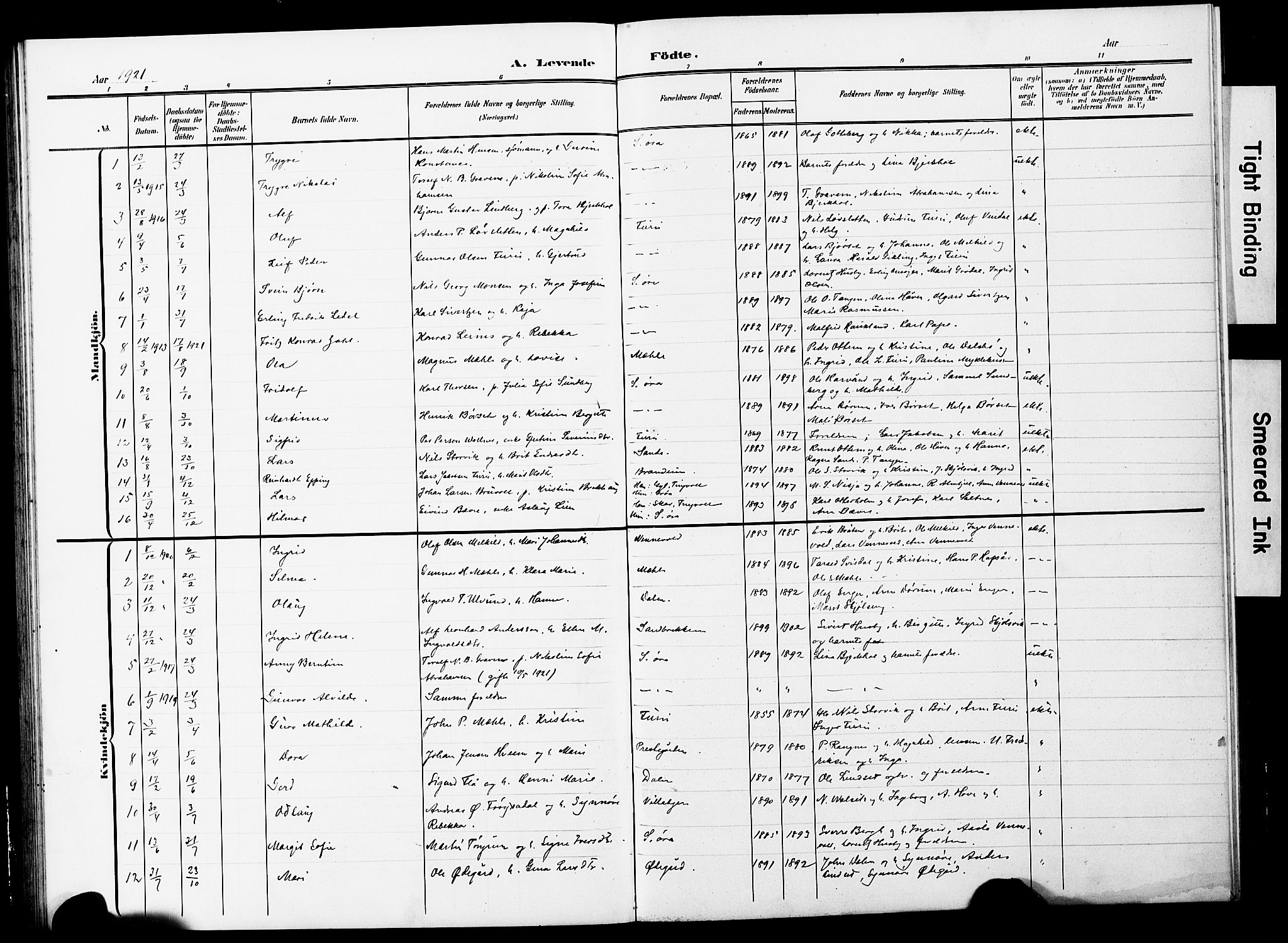 Ministerialprotokoller, klokkerbøker og fødselsregistre - Møre og Romsdal, AV/SAT-A-1454/590/L1017: Parish register (copy) no. 590C02, 1869-1931