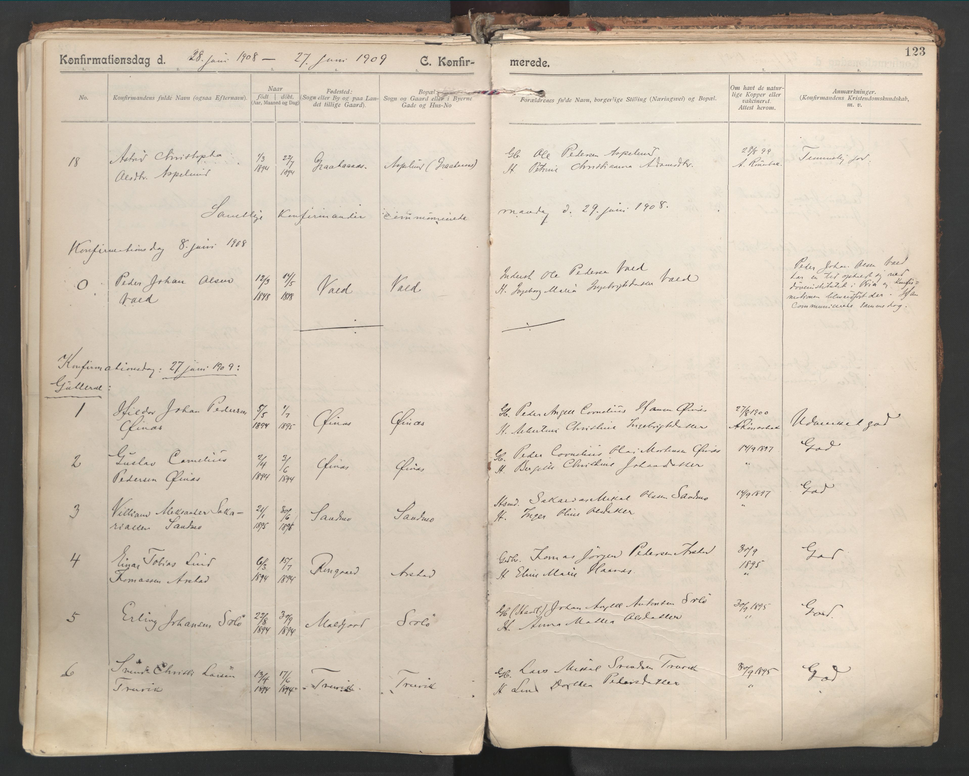 Ministerialprotokoller, klokkerbøker og fødselsregistre - Nordland, SAT/A-1459/846/L0647: Parish register (official) no. 846A05, 1902-1915, p. 123