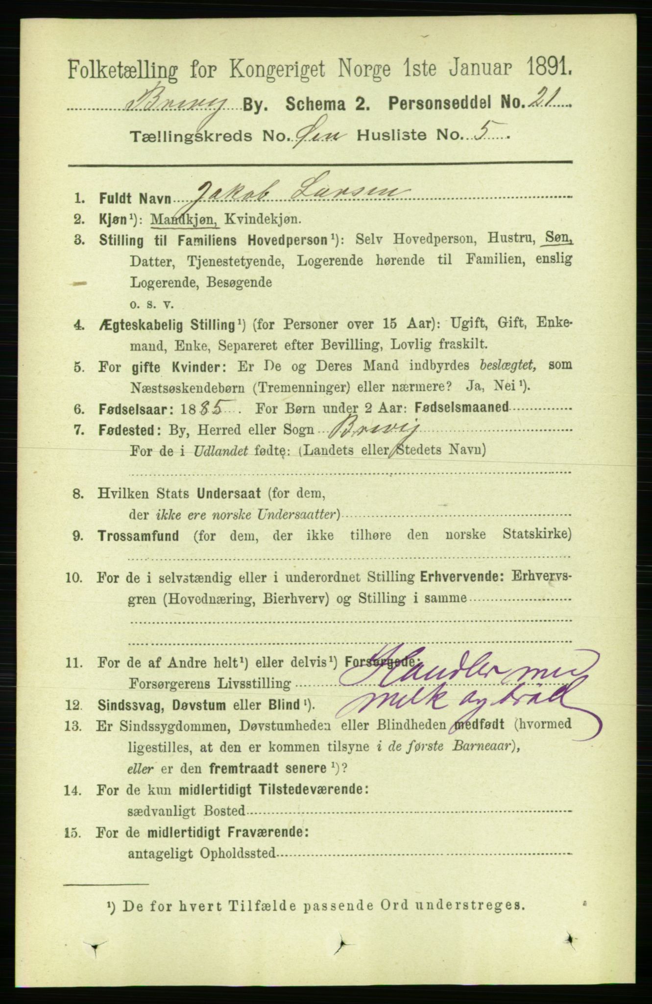 RA, 1891 census for 0804 Brevik, 1891, p. 1624