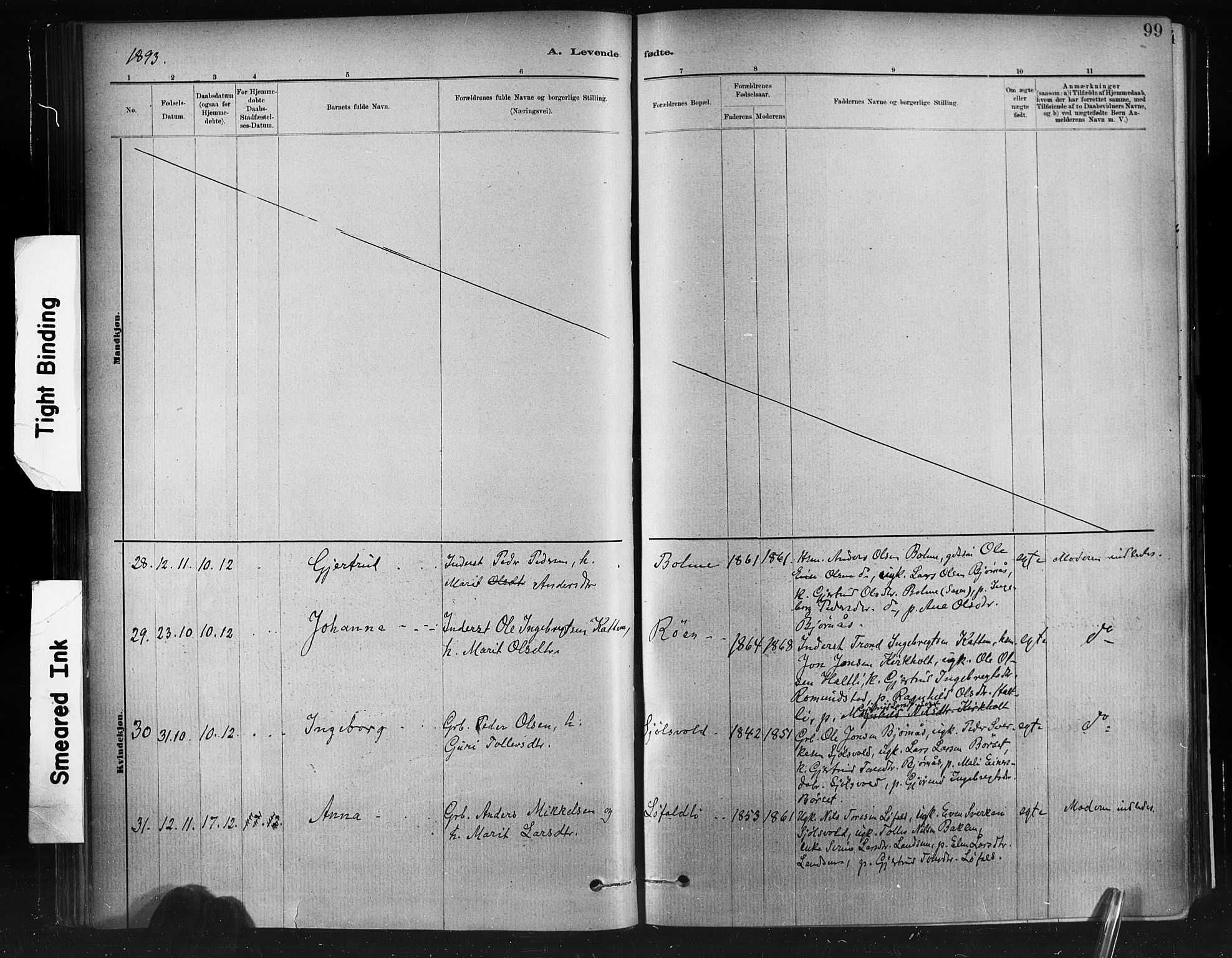 Ministerialprotokoller, klokkerbøker og fødselsregistre - Møre og Romsdal, AV/SAT-A-1454/598/L1069: Parish register (official) no. 598A03, 1882-1895, p. 99