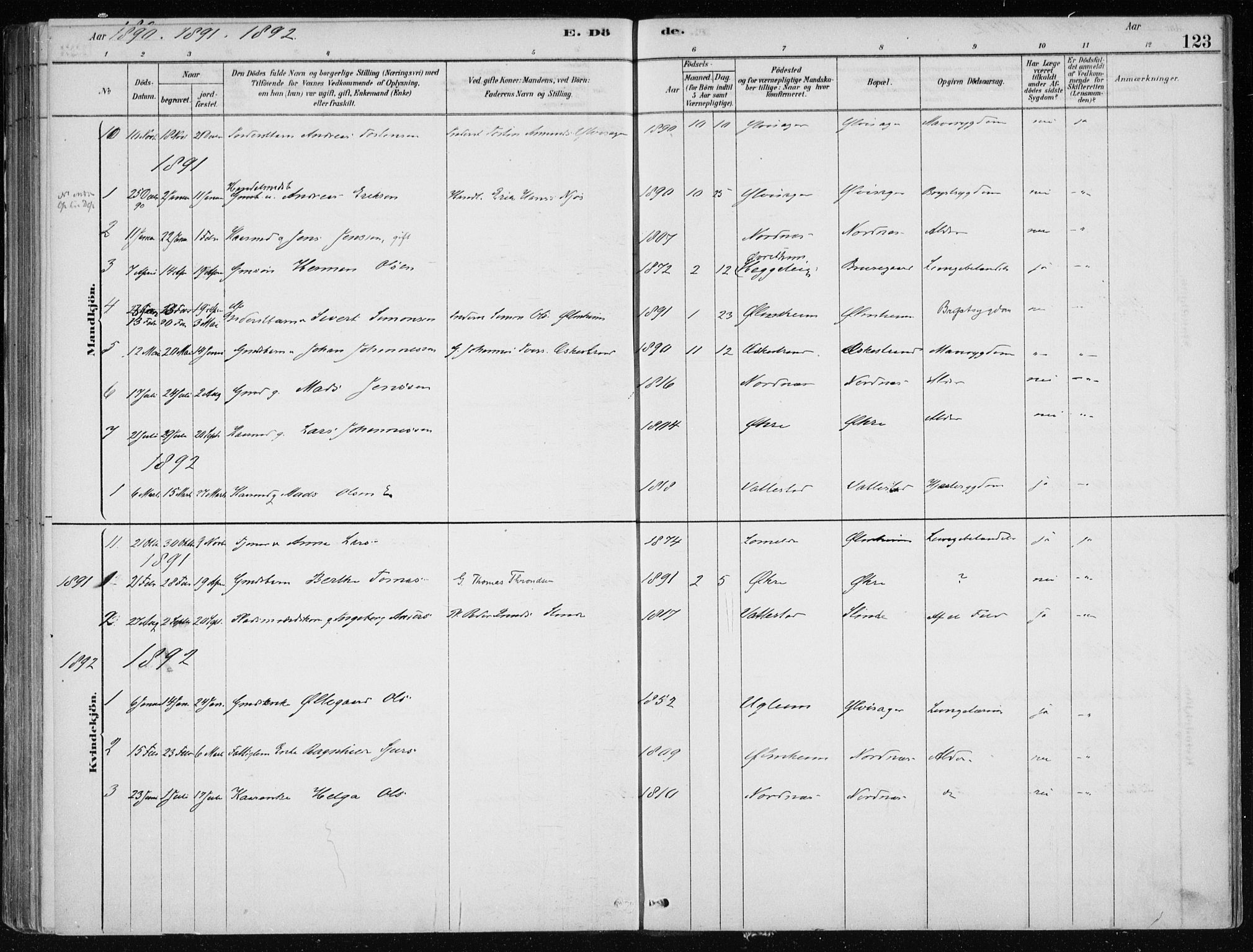 Sogndal sokneprestembete, SAB/A-81301/H/Haa/Haac/L0001: Parish register (official) no. C 1, 1878-1907, p. 123