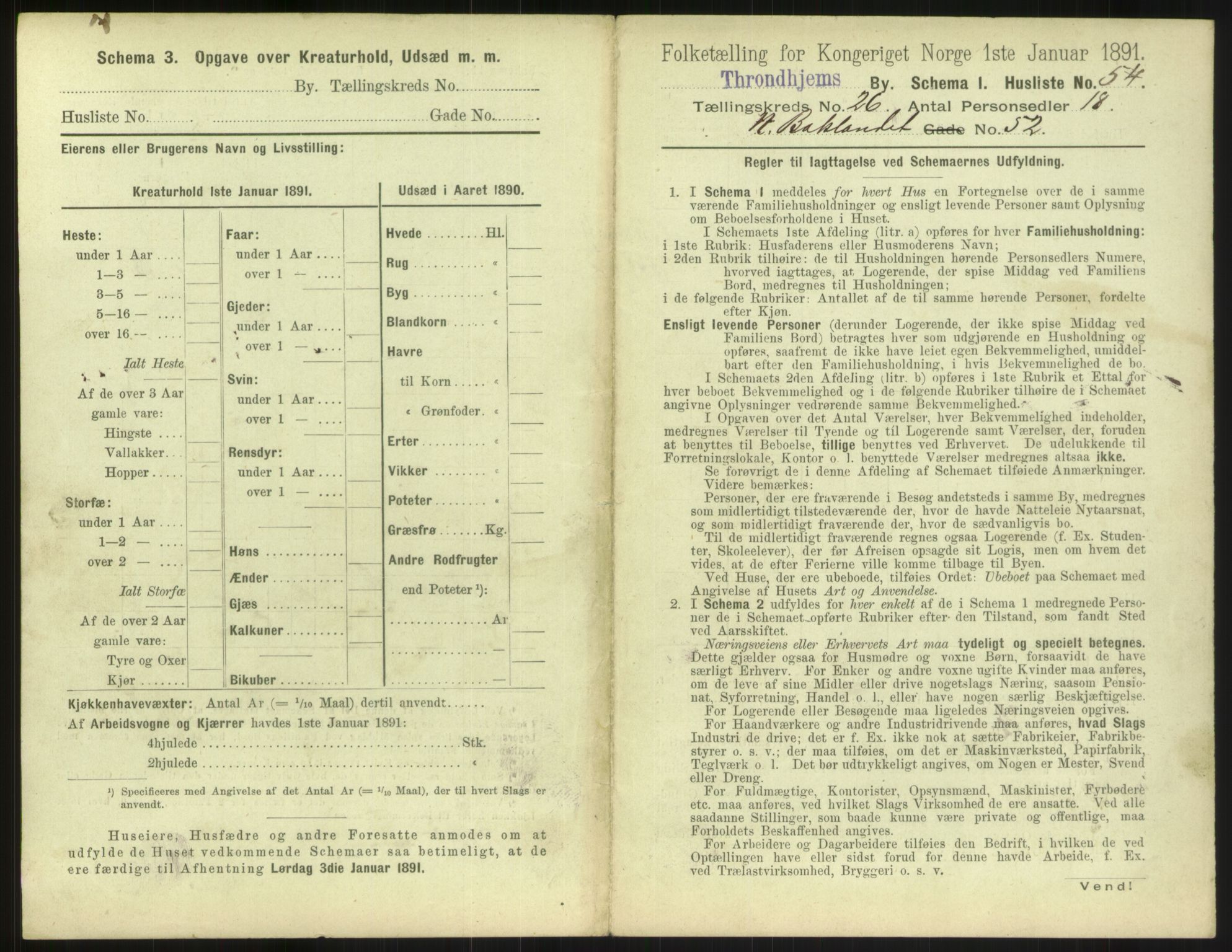 RA, 1891 census for 1601 Trondheim, 1891, p. 1872