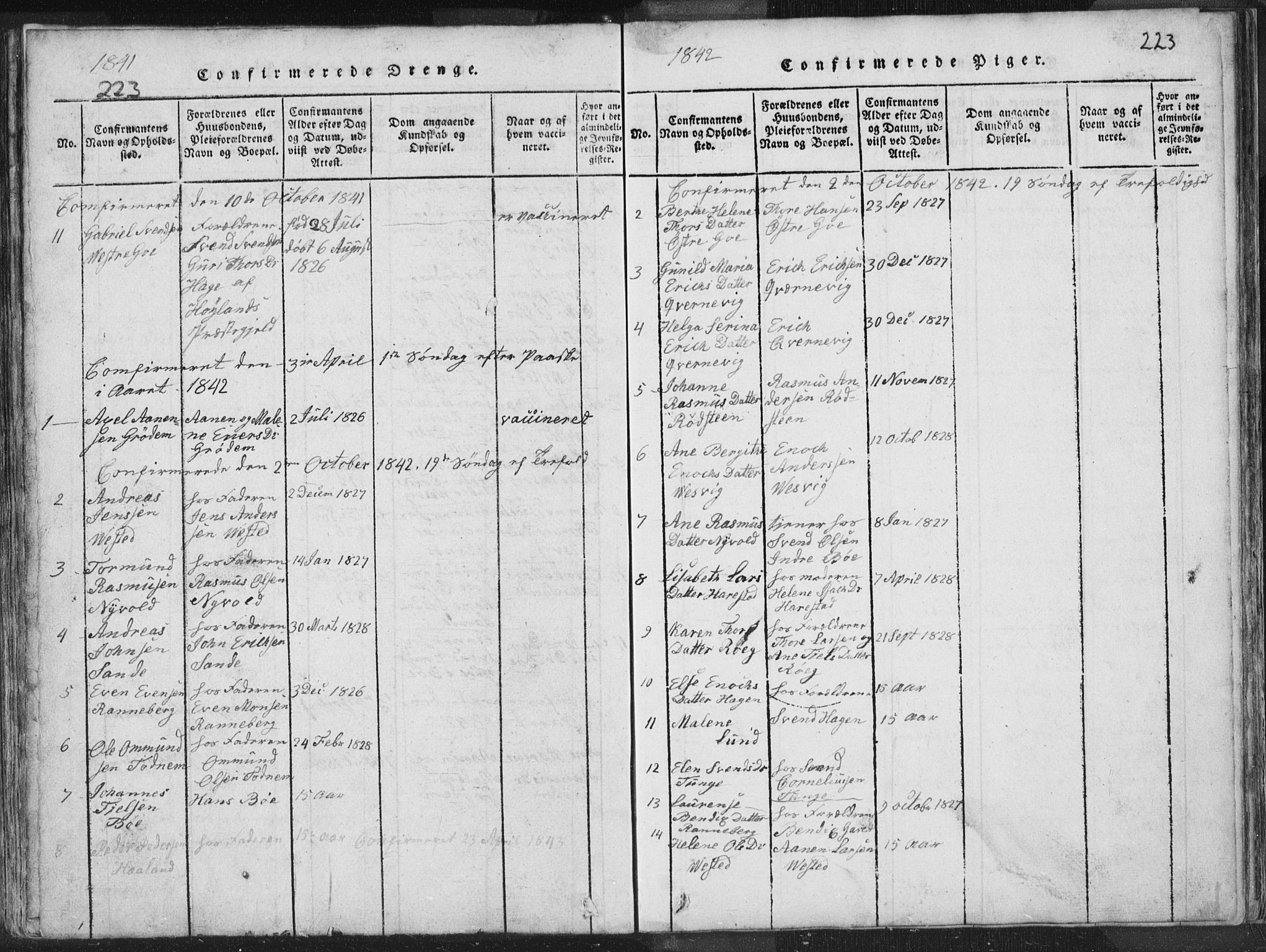 Hetland sokneprestkontor, SAST/A-101826/30/30BA/L0001: Parish register (official) no. A 1, 1816-1856, p. 223