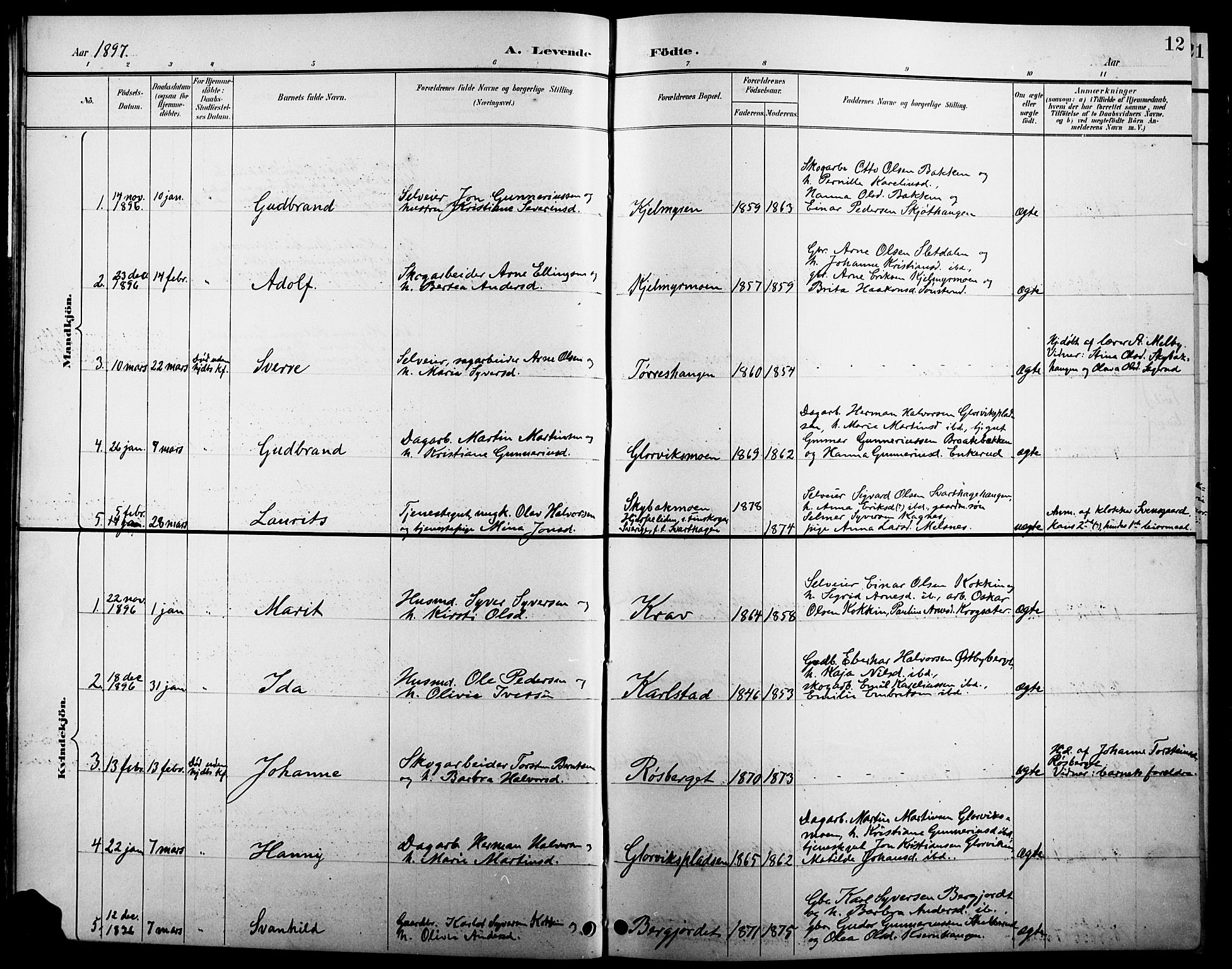 Åsnes prestekontor, AV/SAH-PREST-042/H/Ha/Hab/L0005: Parish register (copy) no. 5, 1895-1920, p. 12