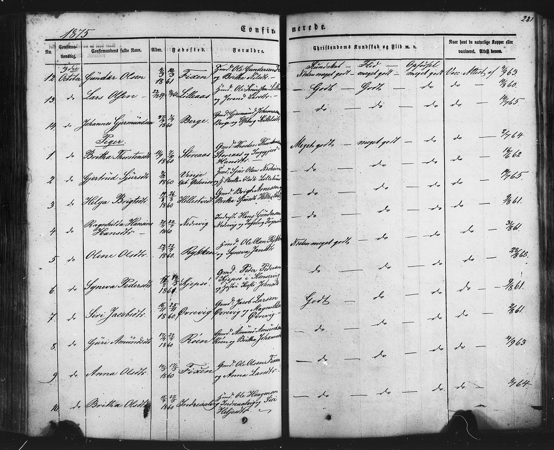 Kvam sokneprestembete, SAB/A-76201/H/Haa: Parish register (official) no. A 9, 1864-1879, p. 231
