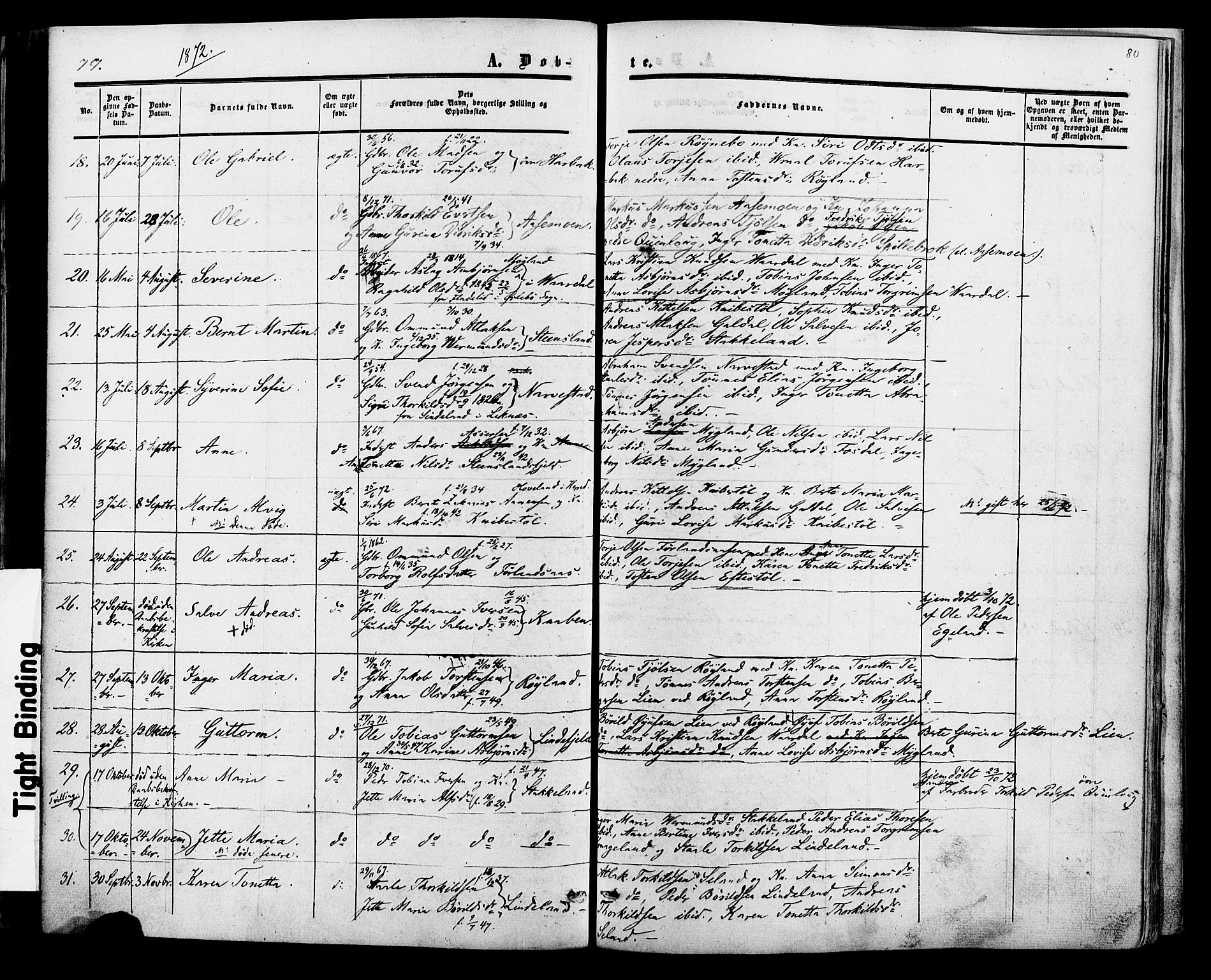 Fjotland sokneprestkontor, AV/SAK-1111-0010/F/Fa/L0001: Parish register (official) no. A 1, 1850-1879, p. 80