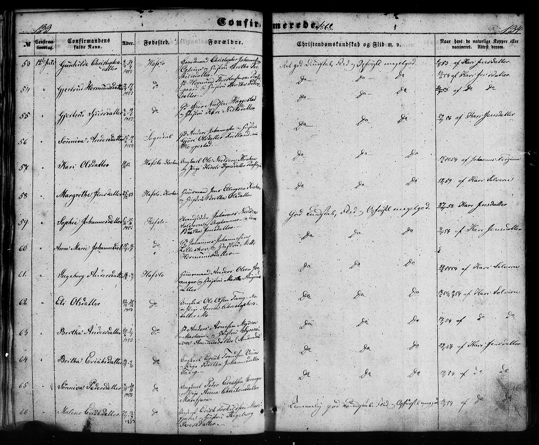 Hafslo sokneprestembete, SAB/A-80301/H/Haa/Haaa/L0012: Parish register (official) no. A 12, 1852-1885, p. 134-135