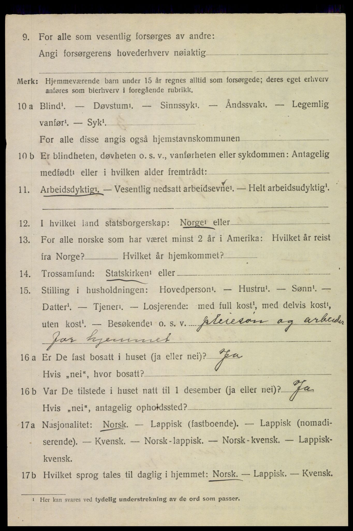 SAT, 1920 census for Bø, 1920, p. 8523