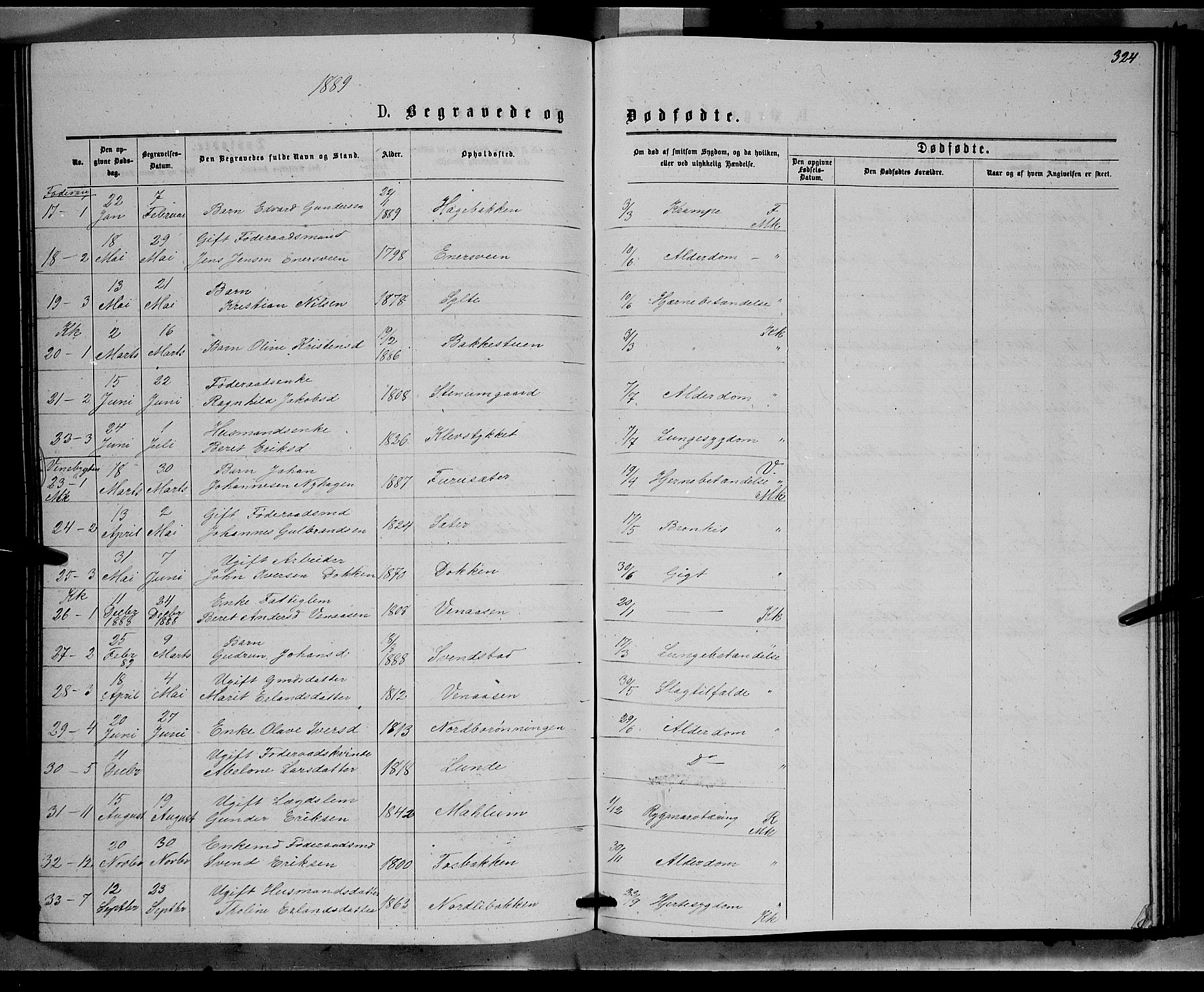 Ringebu prestekontor, SAH/PREST-082/H/Ha/Hab/L0006: Parish register (copy) no. 6, 1880-1898, p. 324