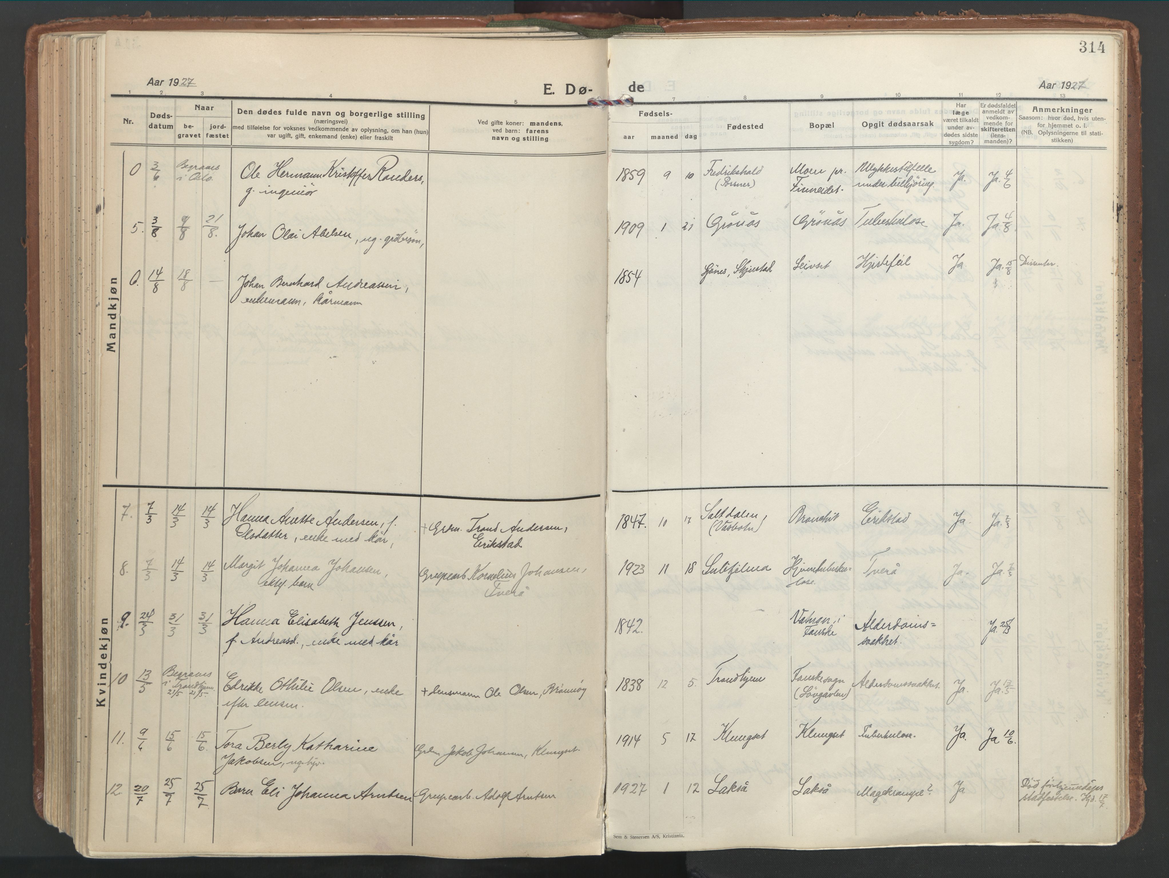 Ministerialprotokoller, klokkerbøker og fødselsregistre - Nordland, SAT/A-1459/849/L0699: Parish register (official) no. 849A10, 1924-1937, p. 314