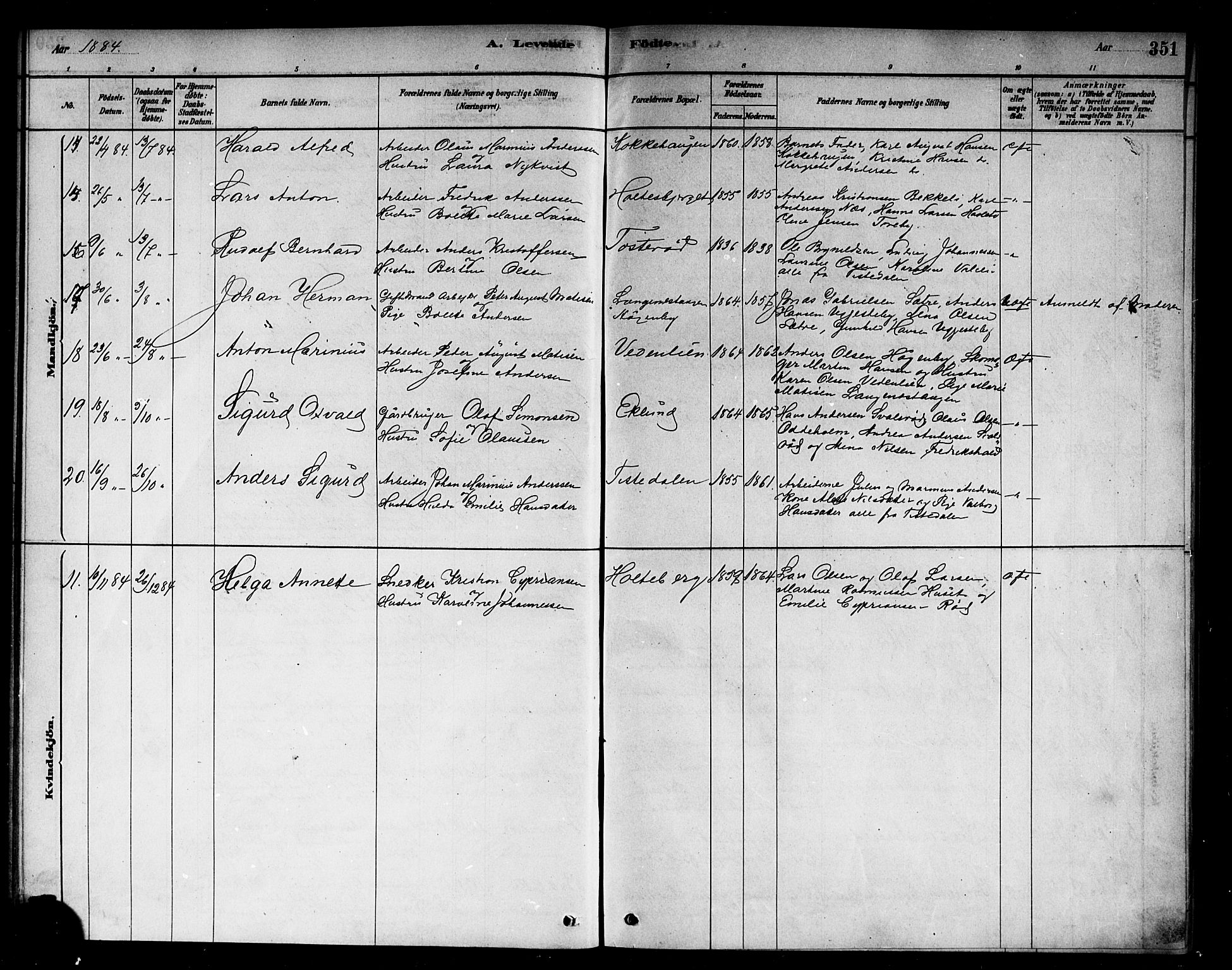 Berg prestekontor Kirkebøker, AV/SAO-A-10902/F/Fb/L0001: Parish register (official) no. II 1, 1878-1887, p. 351