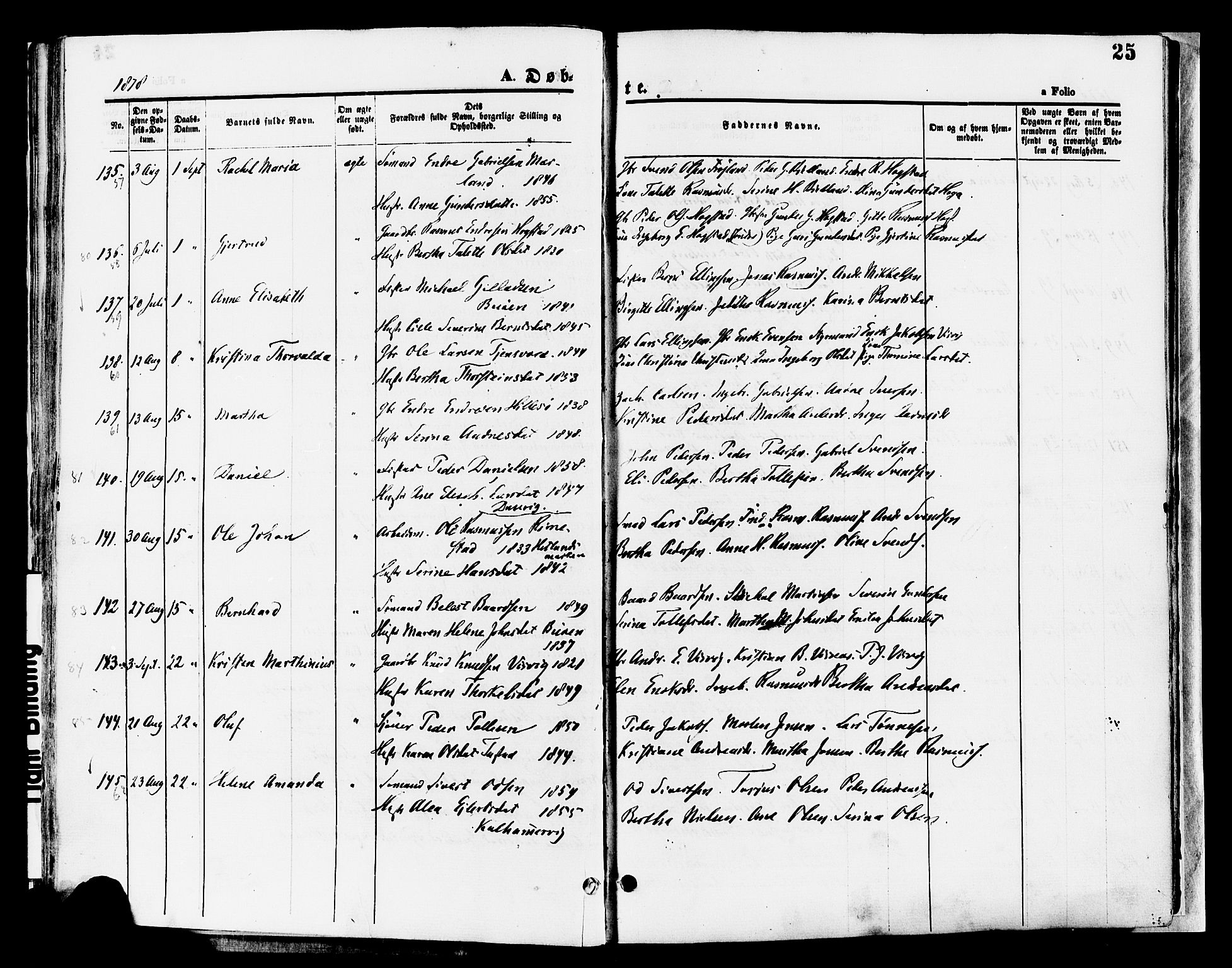 Hetland sokneprestkontor, AV/SAST-A-101826/30/30BA/L0008: Parish register (official) no. A 8, 1877-1884, p. 25