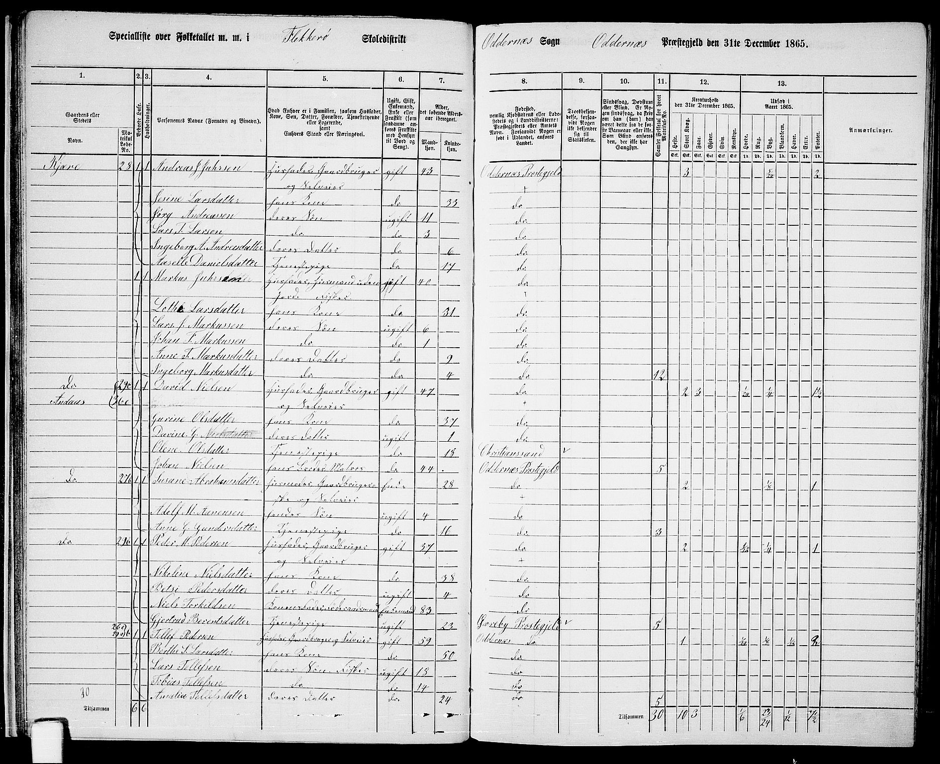 RA, 1865 census for Oddernes, 1865, p. 30