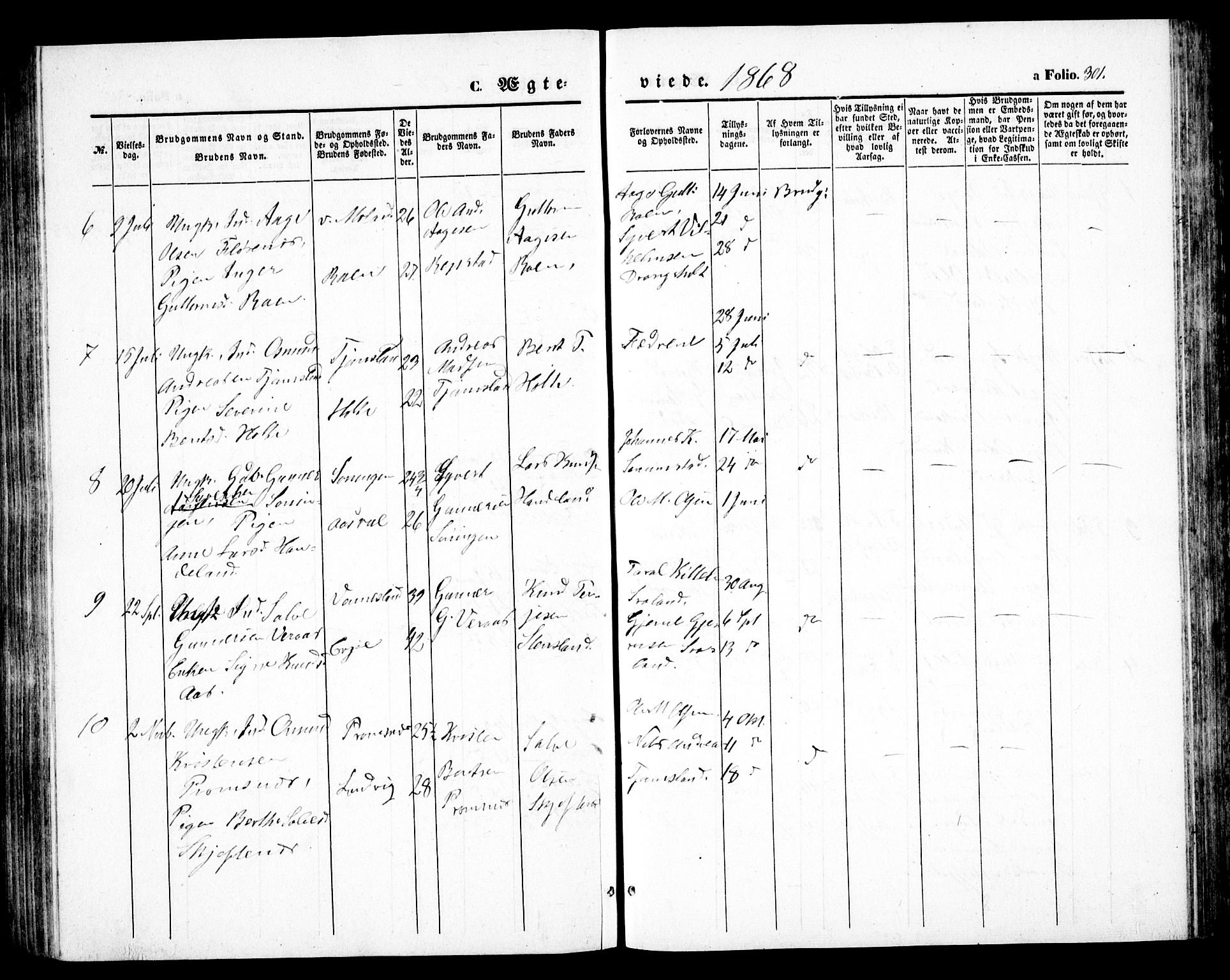 Birkenes sokneprestkontor, AV/SAK-1111-0004/F/Fb/L0002: Parish register (copy) no. B 2, 1849-1876, p. 301