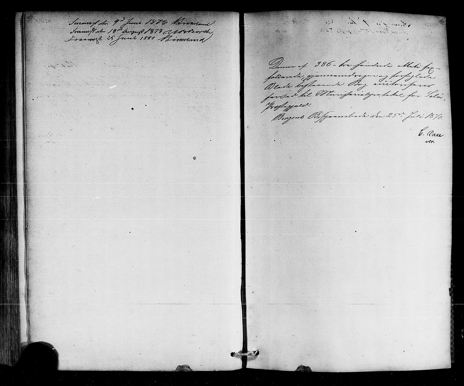 Selje sokneprestembete, SAB/A-99938/H/Ha/Haa/Haaa: Parish register (official) no. A 12, 1870-1880, p. 359