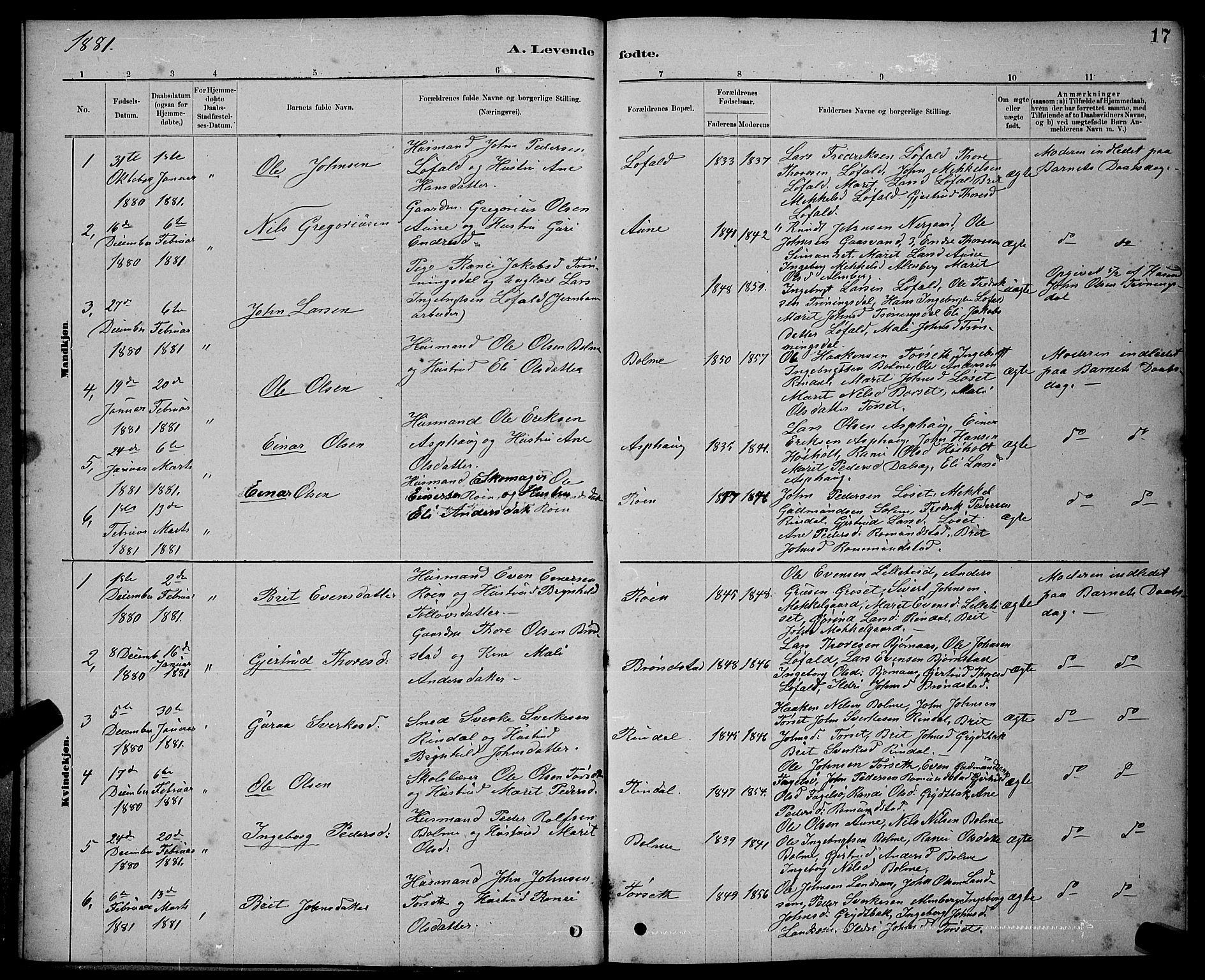 Ministerialprotokoller, klokkerbøker og fødselsregistre - Møre og Romsdal, AV/SAT-A-1454/598/L1077: Parish register (copy) no. 598C02, 1879-1891, p. 17