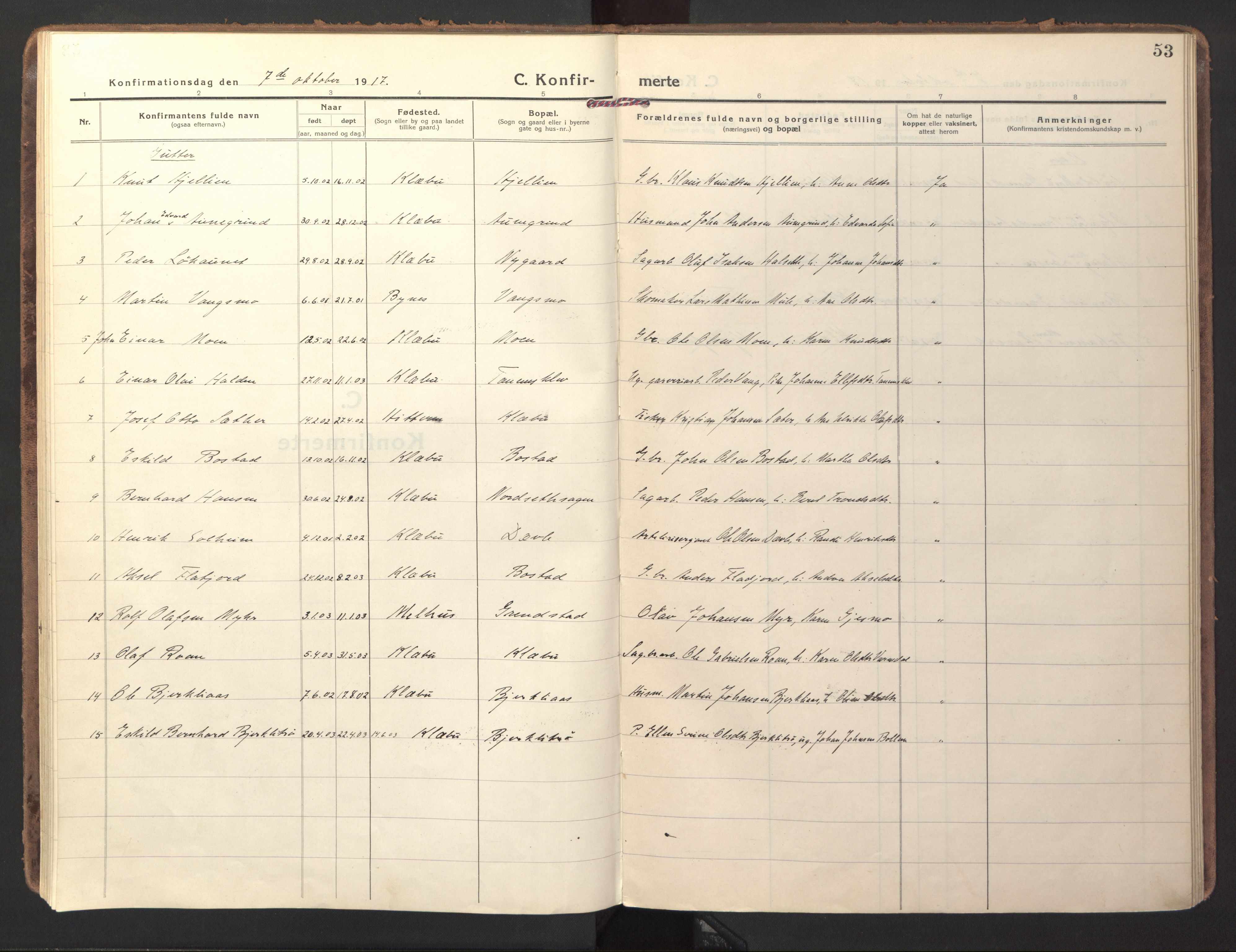Ministerialprotokoller, klokkerbøker og fødselsregistre - Sør-Trøndelag, SAT/A-1456/618/L0449: Parish register (official) no. 618A12, 1917-1924, p. 53