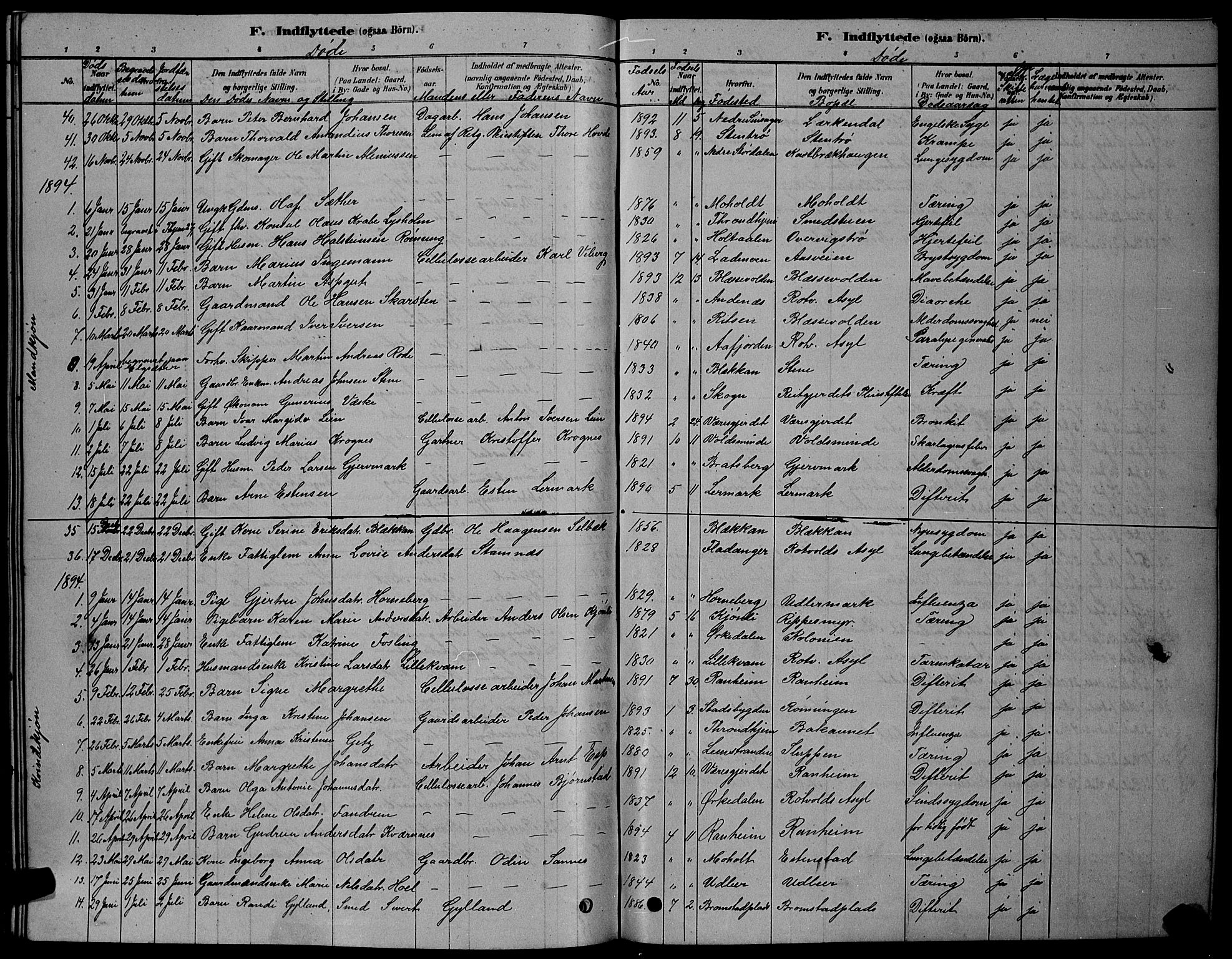 Ministerialprotokoller, klokkerbøker og fødselsregistre - Sør-Trøndelag, AV/SAT-A-1456/606/L0312: Parish register (copy) no. 606C08, 1878-1894