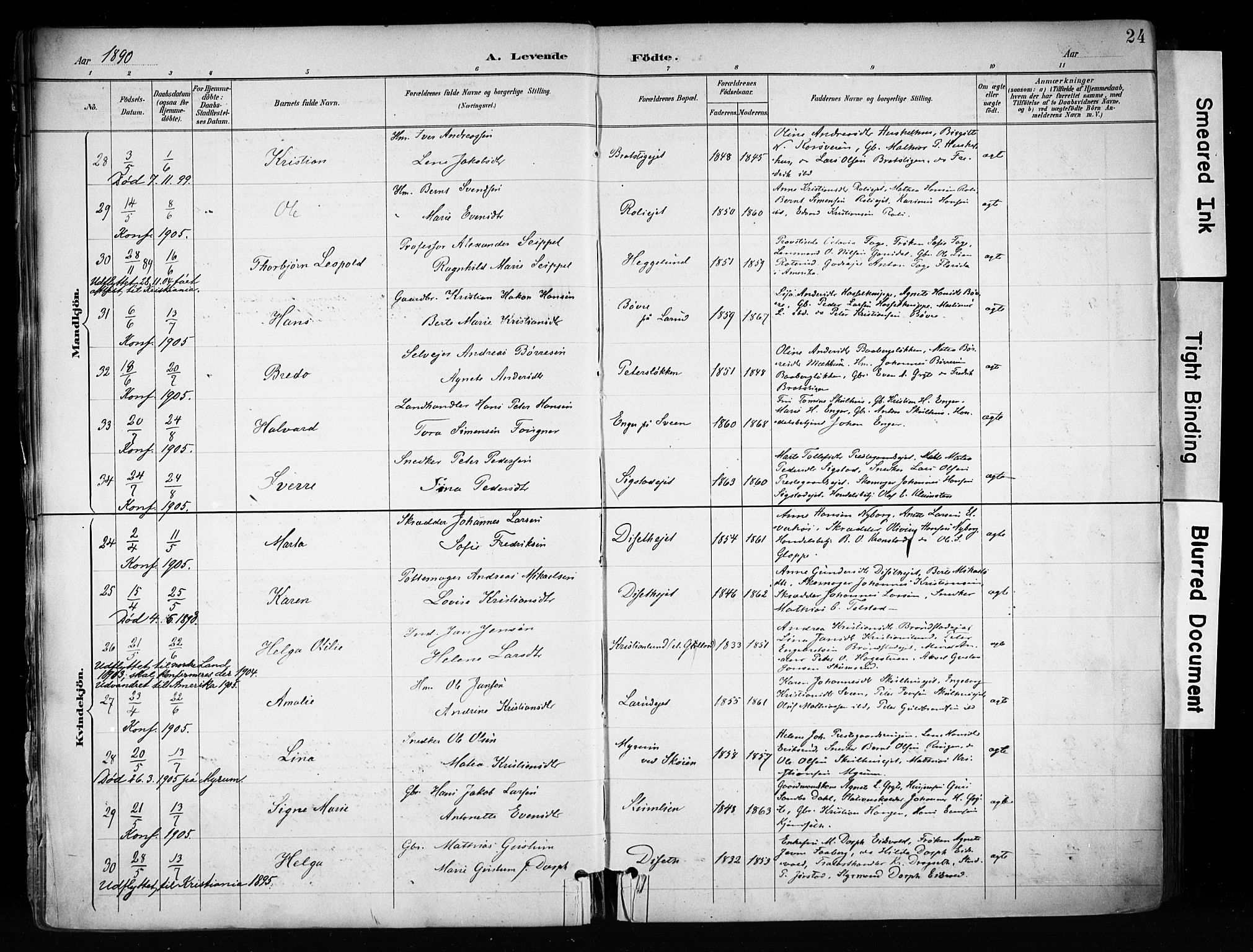 Biri prestekontor, AV/SAH-PREST-096/H/Ha/Haa/L0009: Parish register (official) no. 9, 1887-1900, p. 24