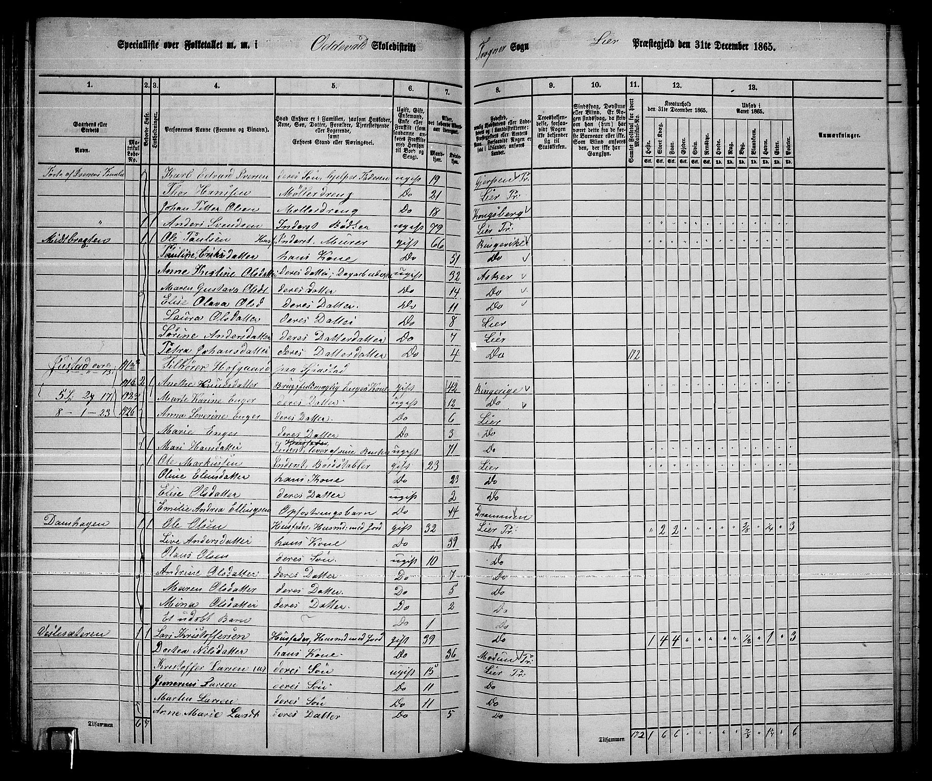 RA, 1865 census for Lier, 1865, p. 114