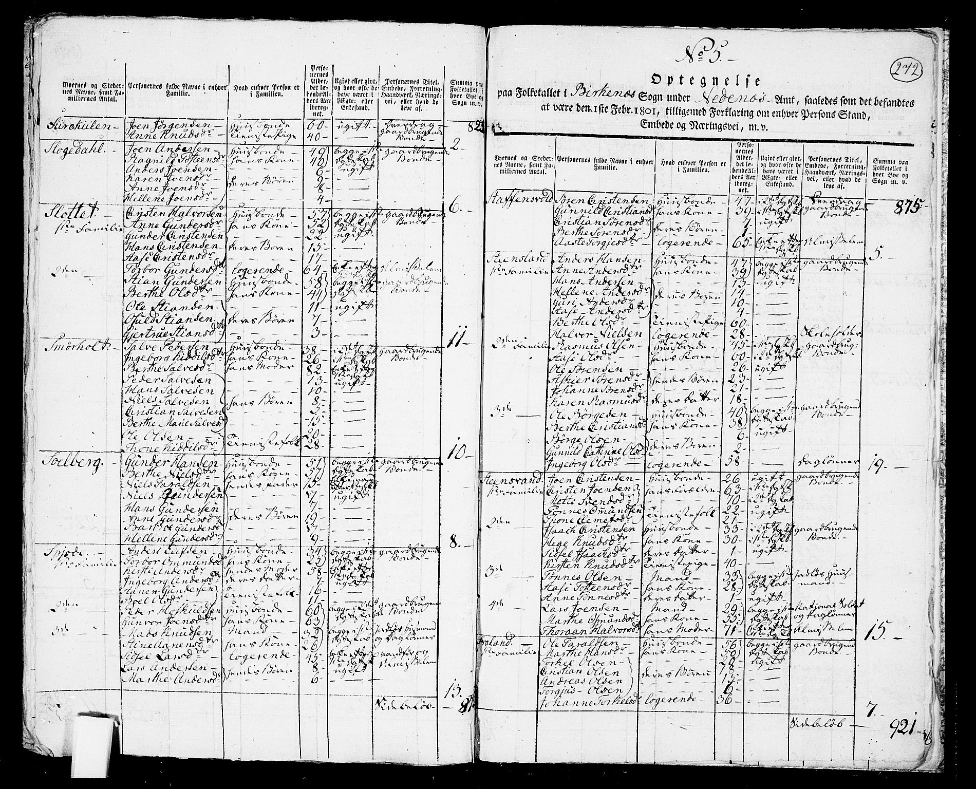 RA, 1801 census for 1013P Tveit, 1801, p. 271b-272a