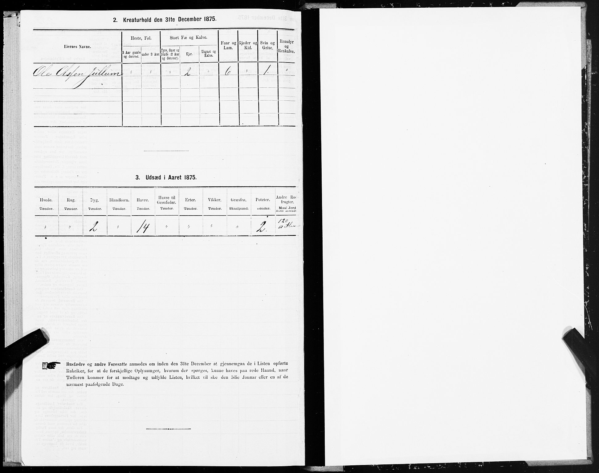 SAT, 1875 census for 1714P Nedre Stjørdal, 1875