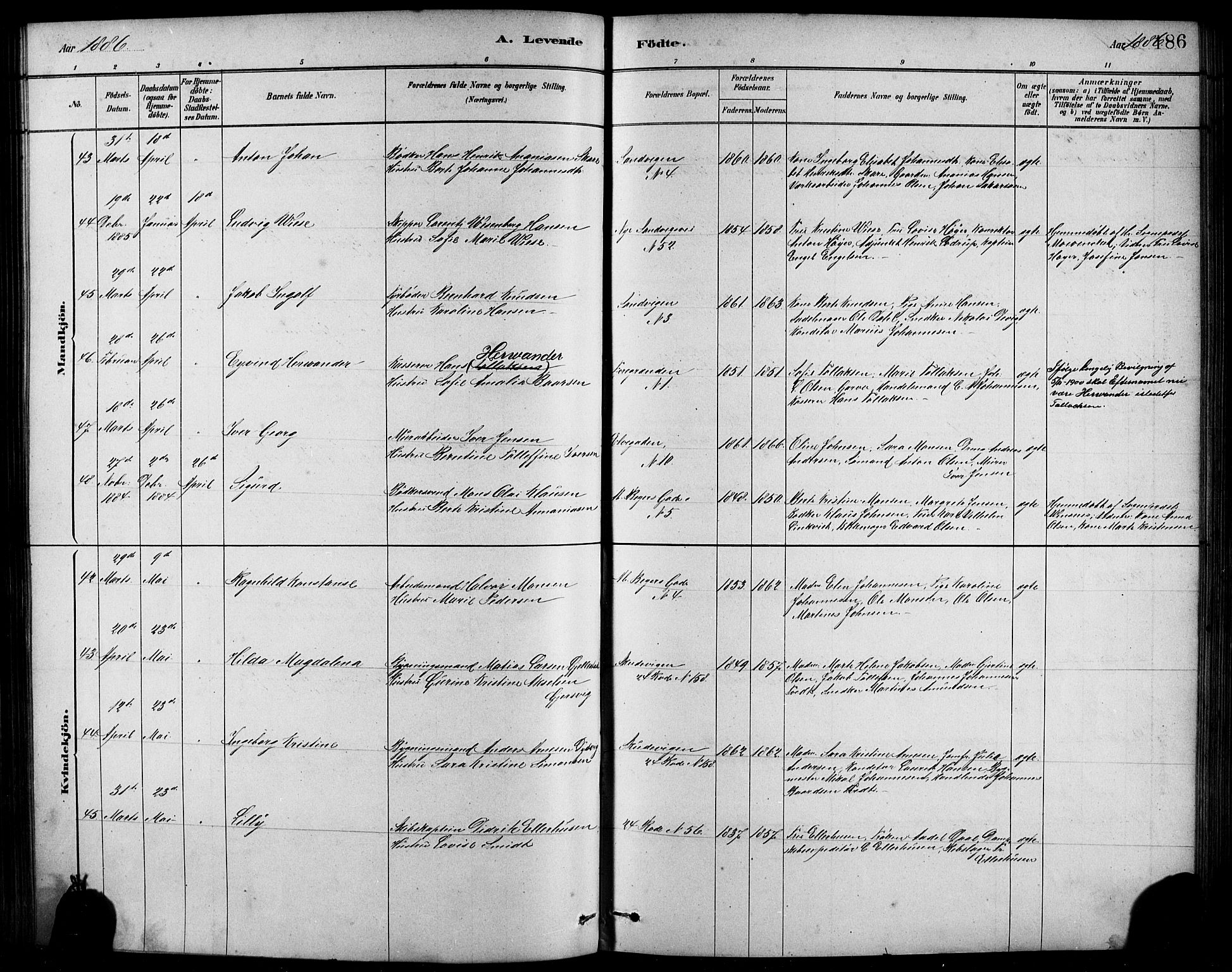 Sandviken Sokneprestembete, AV/SAB-A-77601/H/Hb/L0001: Parish register (copy) no. A 2, 1879-1892, p. 186