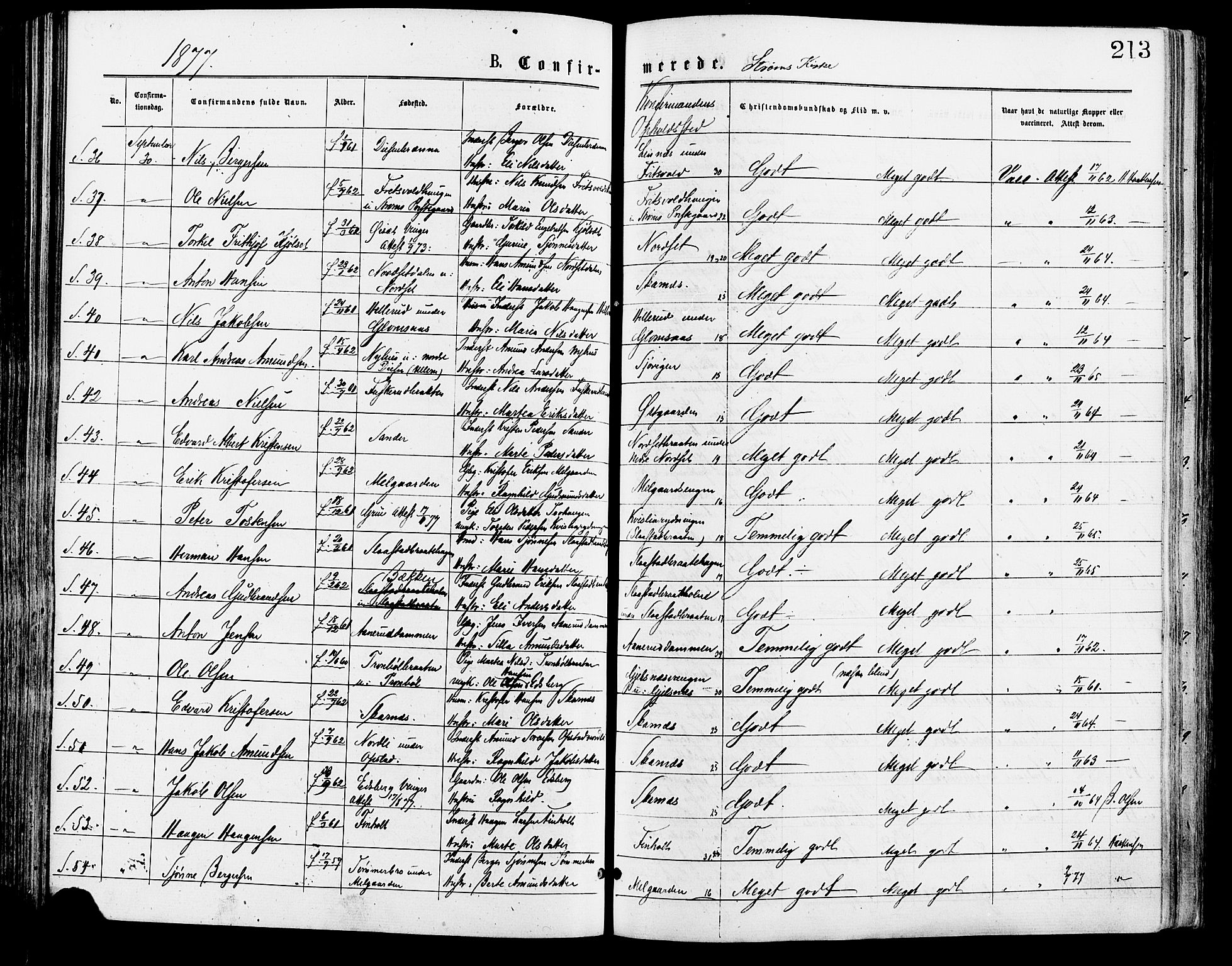 Sør-Odal prestekontor, SAH/PREST-030/H/Ha/Haa/L0005: Parish register (official) no. 5, 1876-1885, p. 213