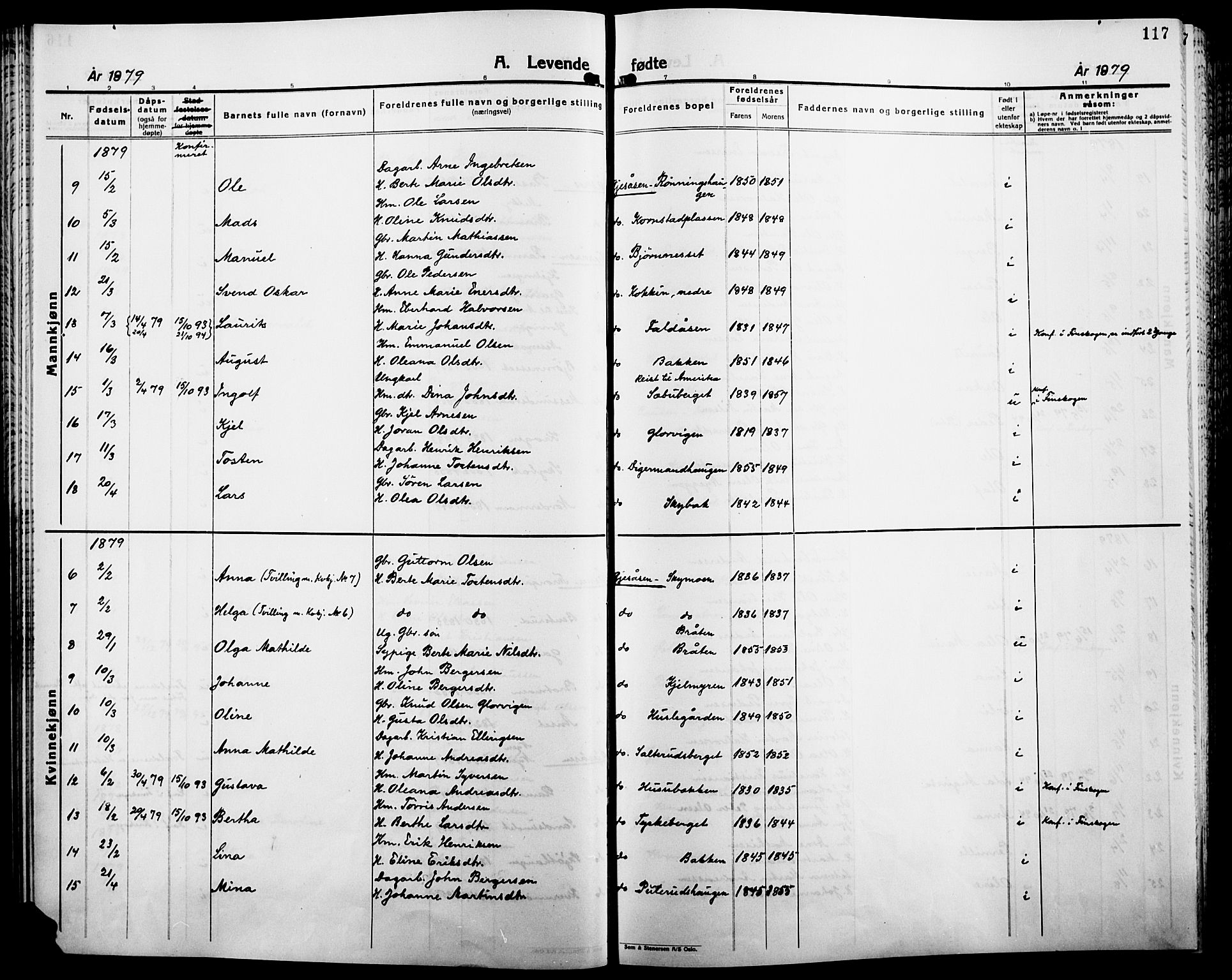 Åsnes prestekontor, AV/SAH-PREST-042/H/Ha/Haa/L0000B: Parish register (official), 1870-1889, p. 117